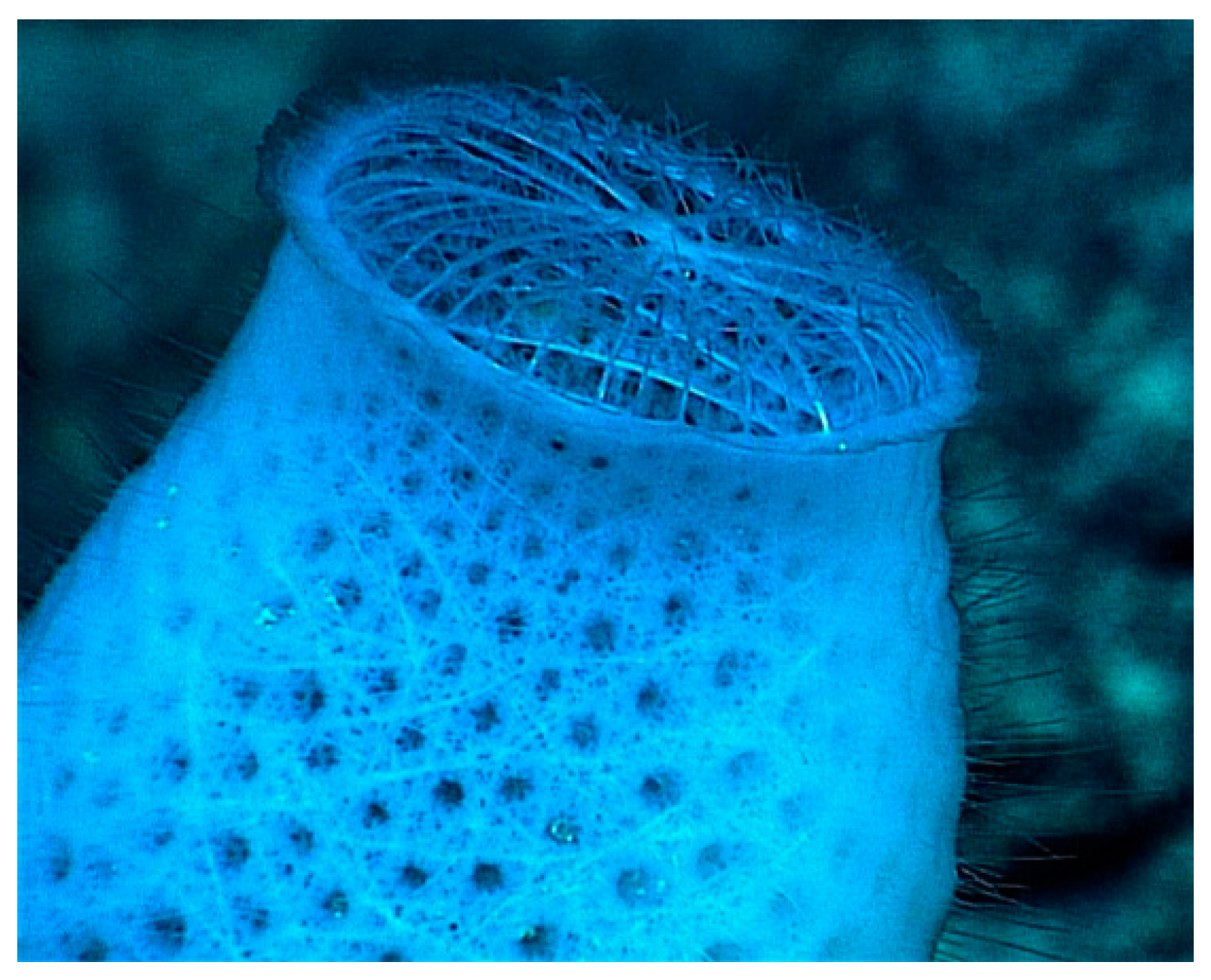 Designs 08 00093 g001