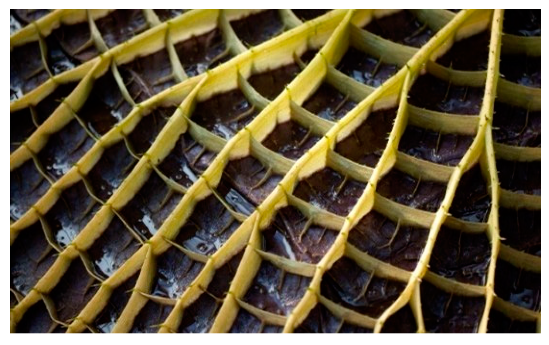 Designs 08 00093 g002