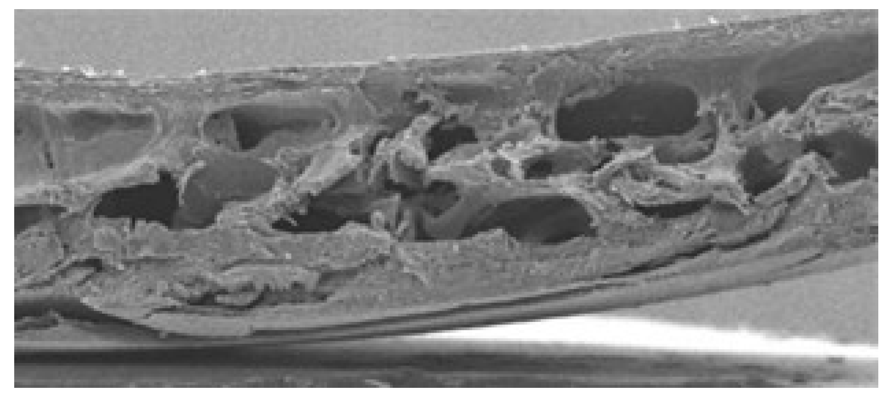 Designs 08 00093 g003