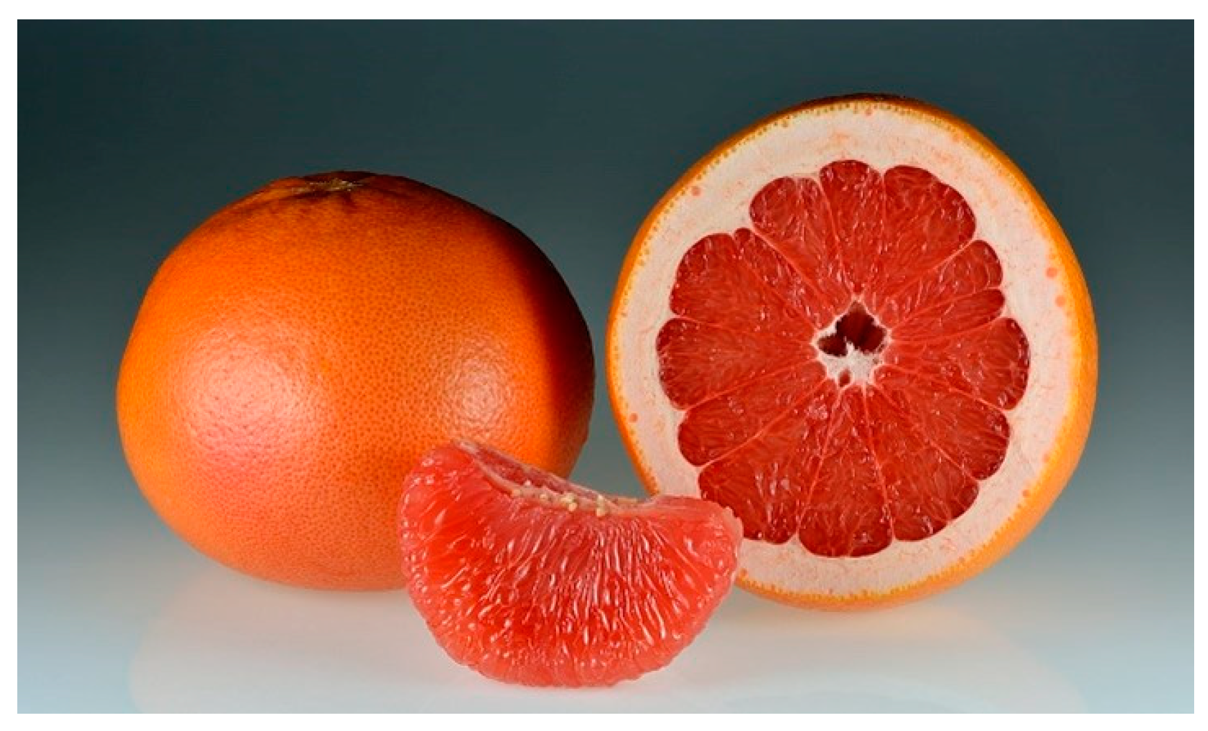 Designs 08 00093 g004