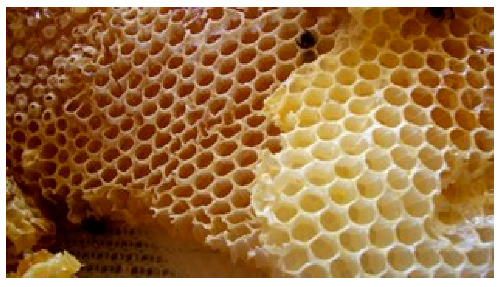 Designs 08 00093 g005