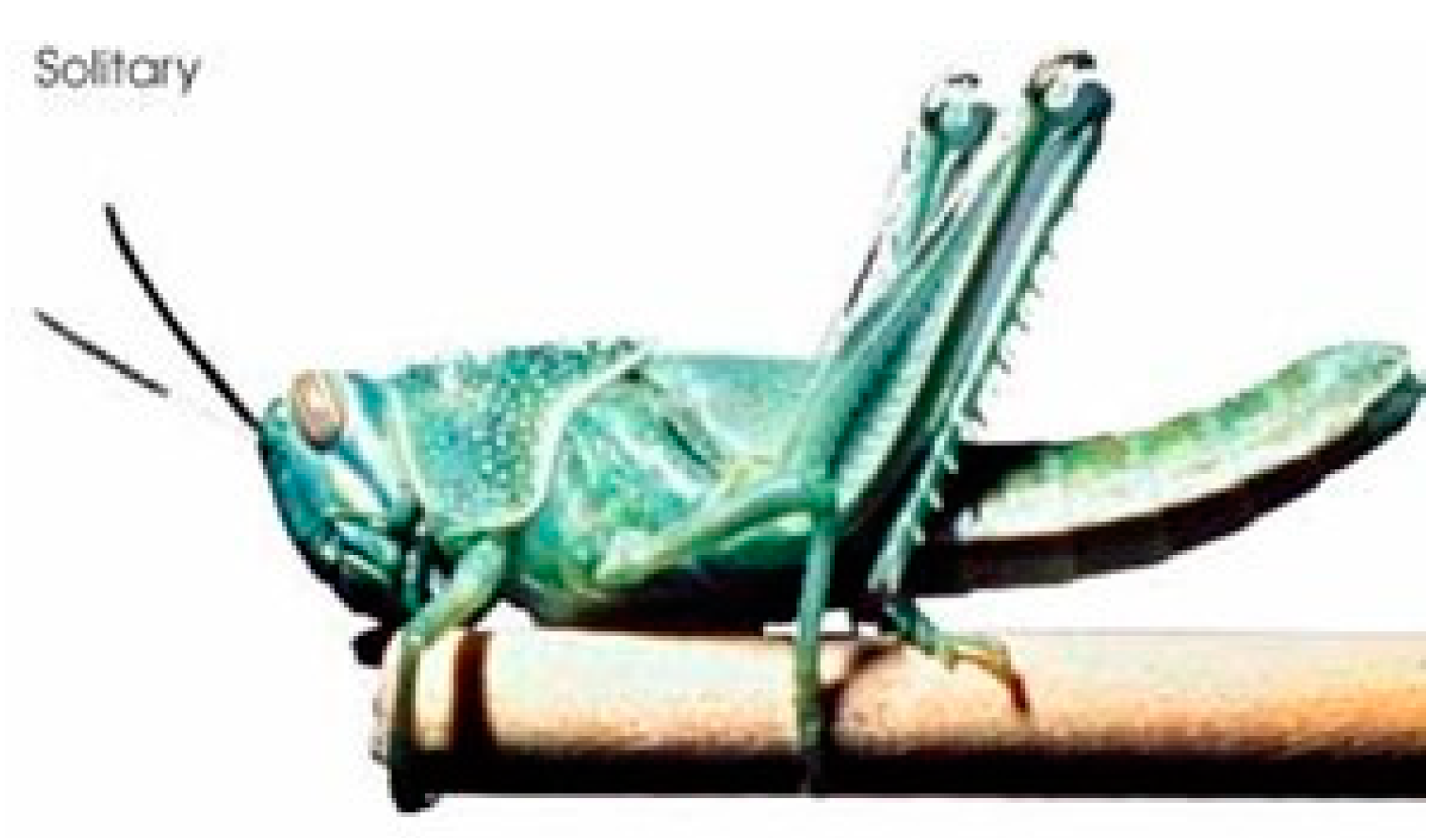 Designs 08 00093 g008