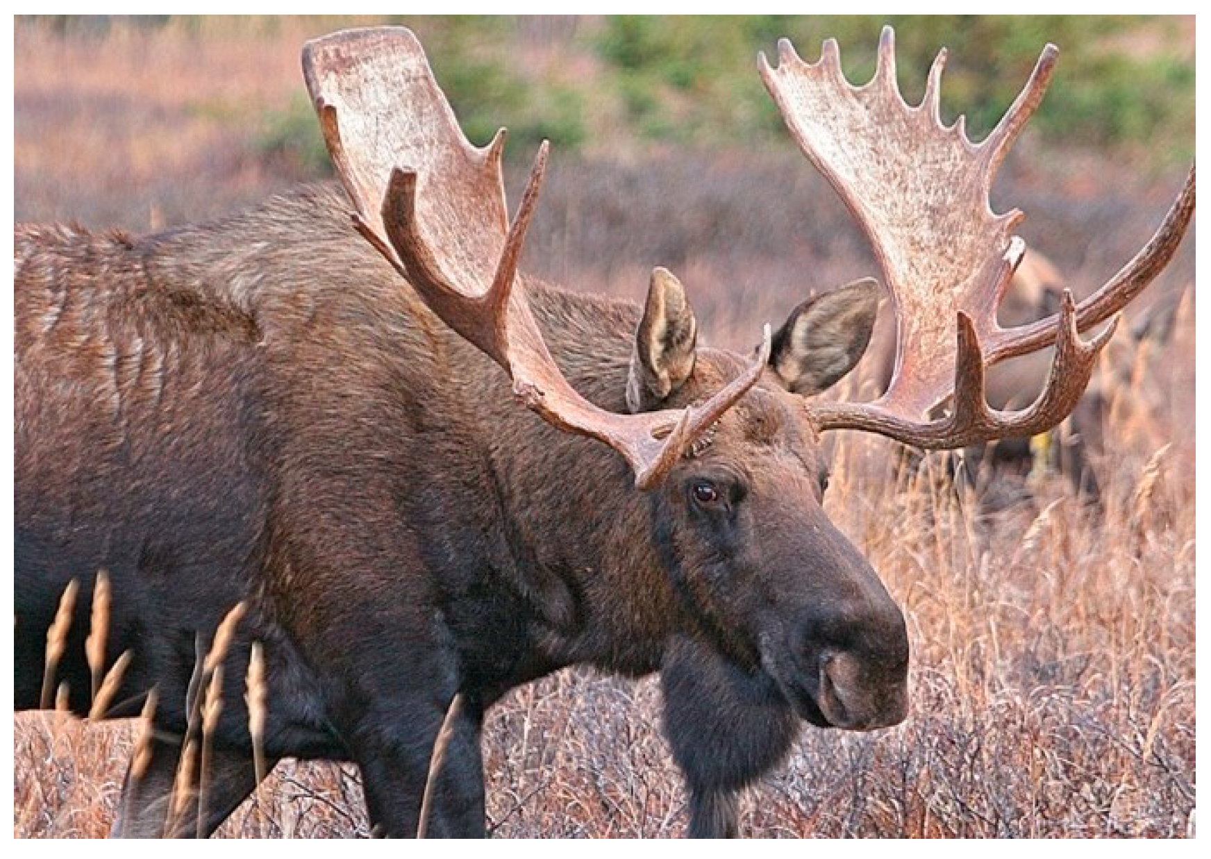 Designs 08 00093 g010