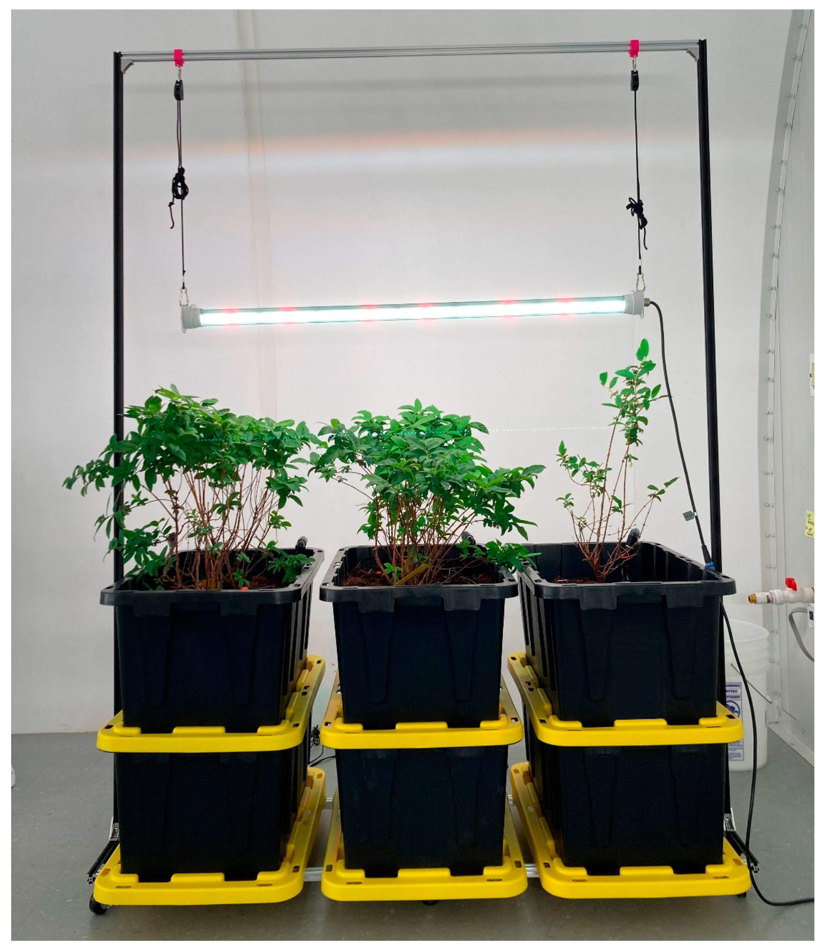 Designs 08 00095 g005