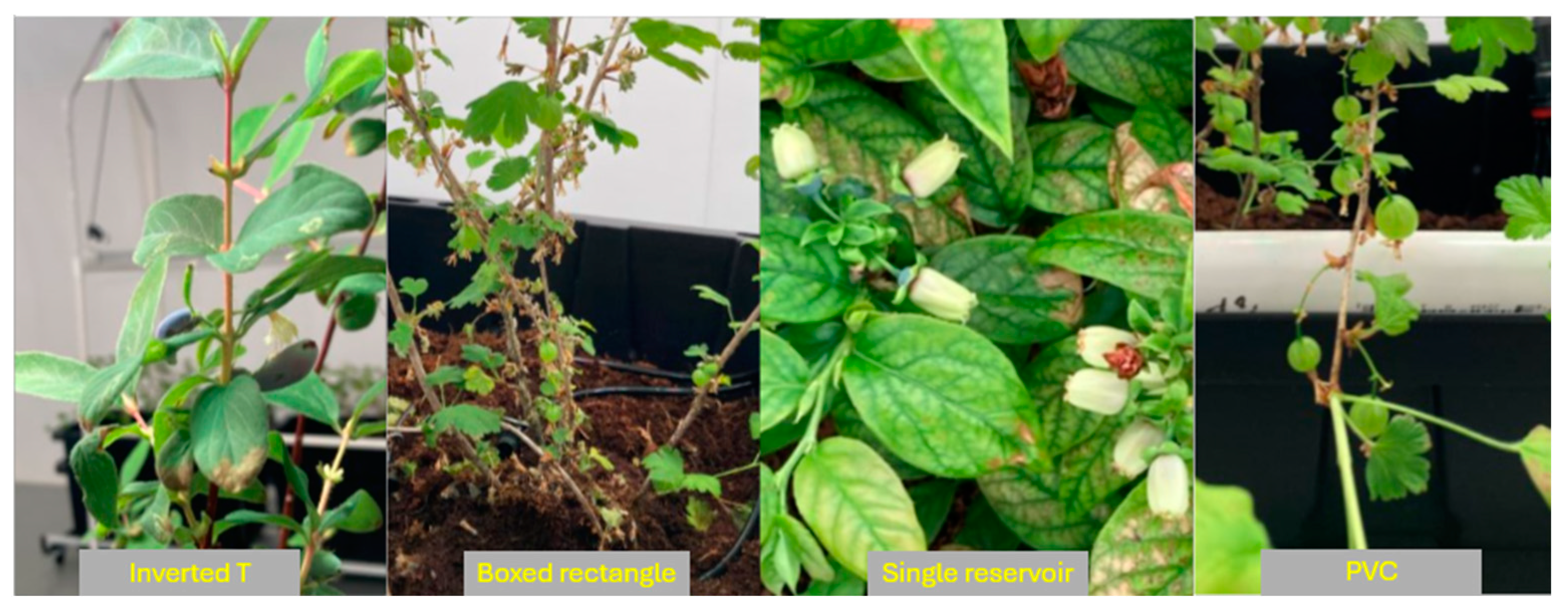 Designs 08 00095 g009