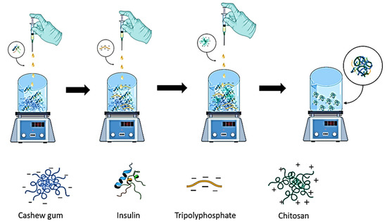 Diabetology Free Full Text The Potential Role Of Polyelectrolyte Complex Nanoparticles Based On Cashew Gum Tripolyphosphate And Chitosan For The Loading Of Insulin Html
