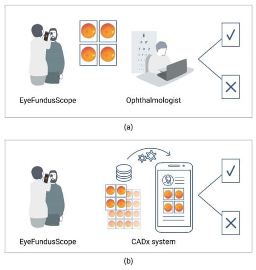 Eye Charts - Braun & Co. Limited