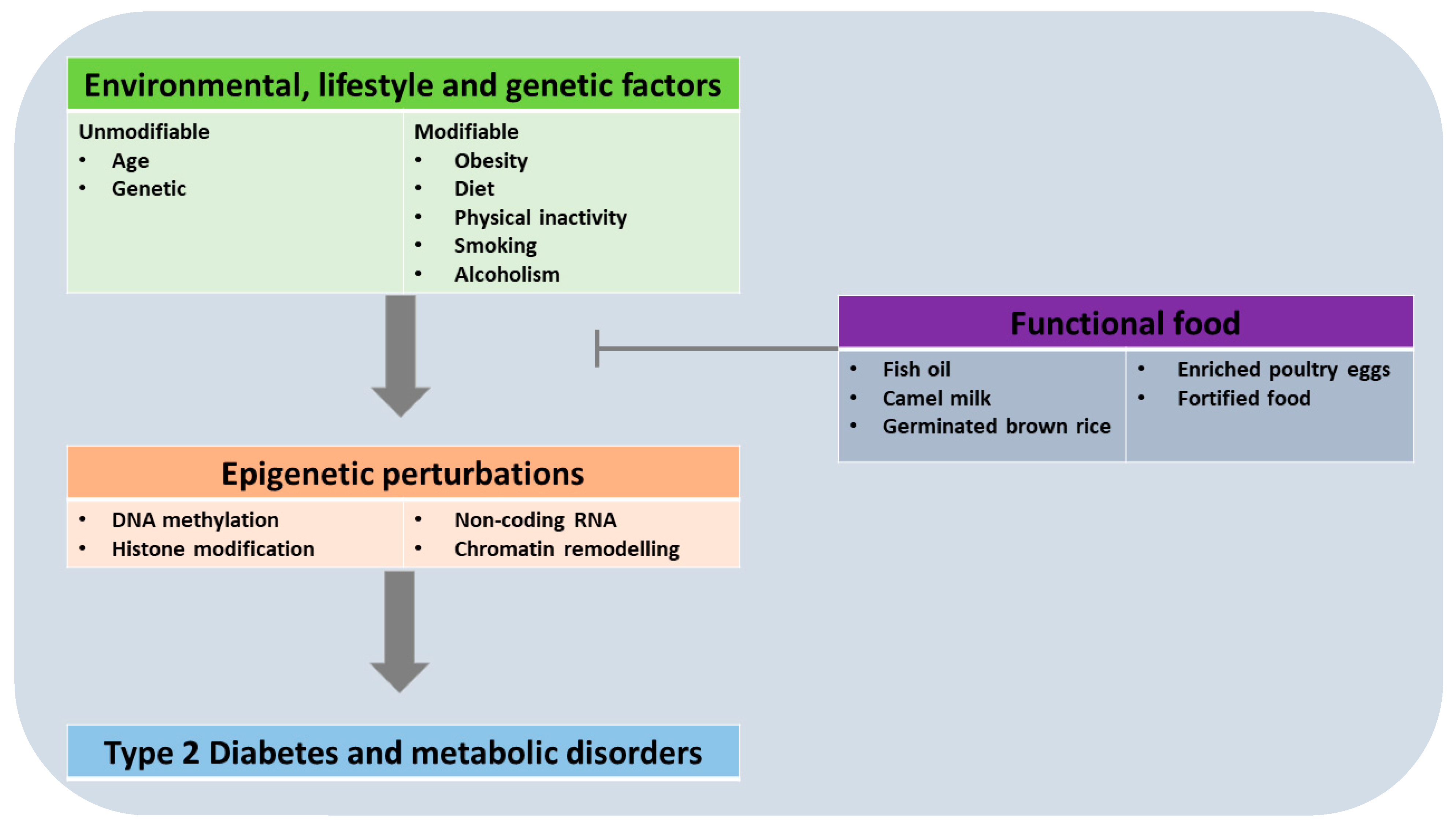 Diabetology | Free Full-Text | Preventive Epigenetic Mechanisms of  Functional Foods for Type 2 Diabetes