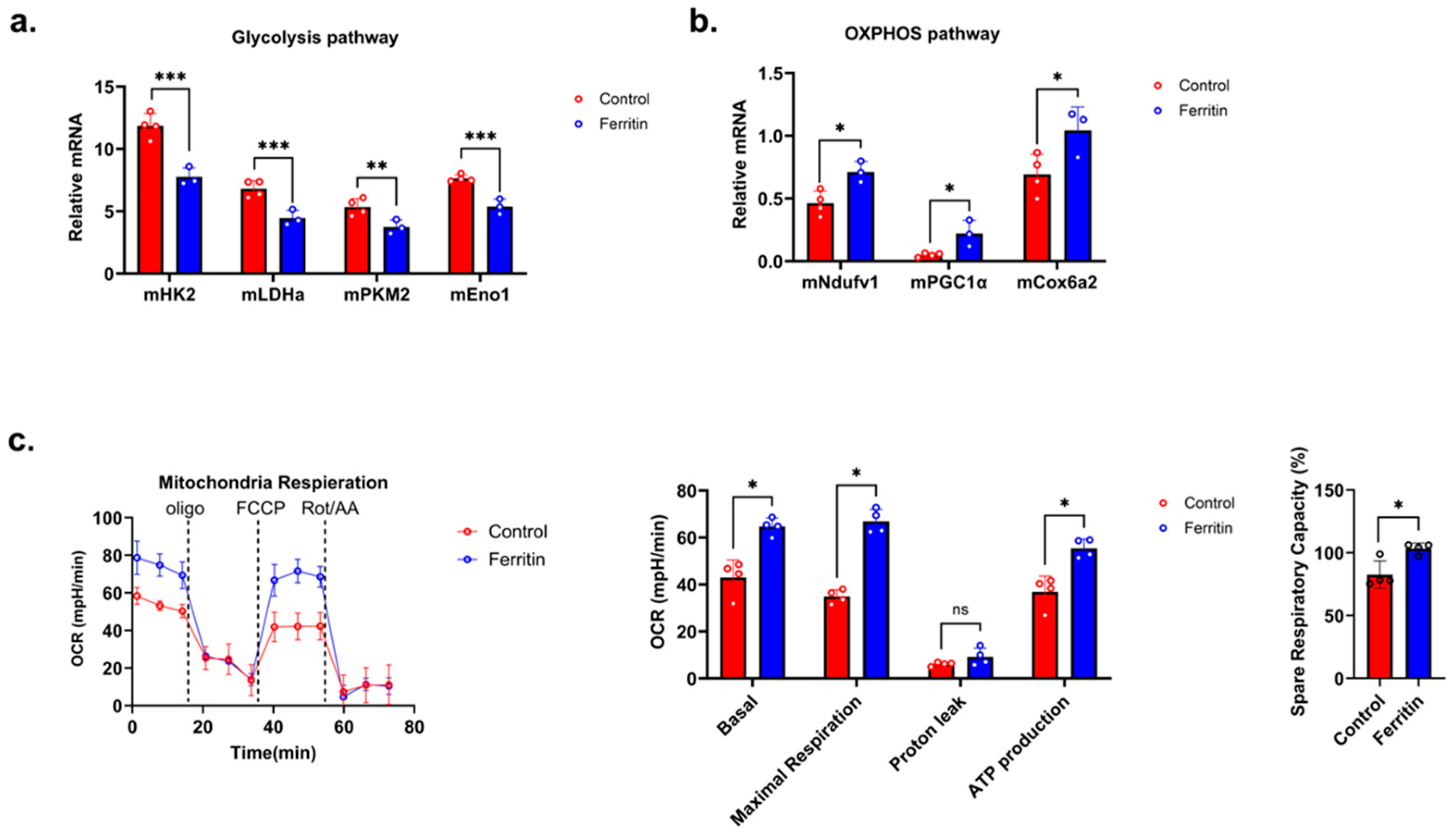 Diabetology 05 00026 g004