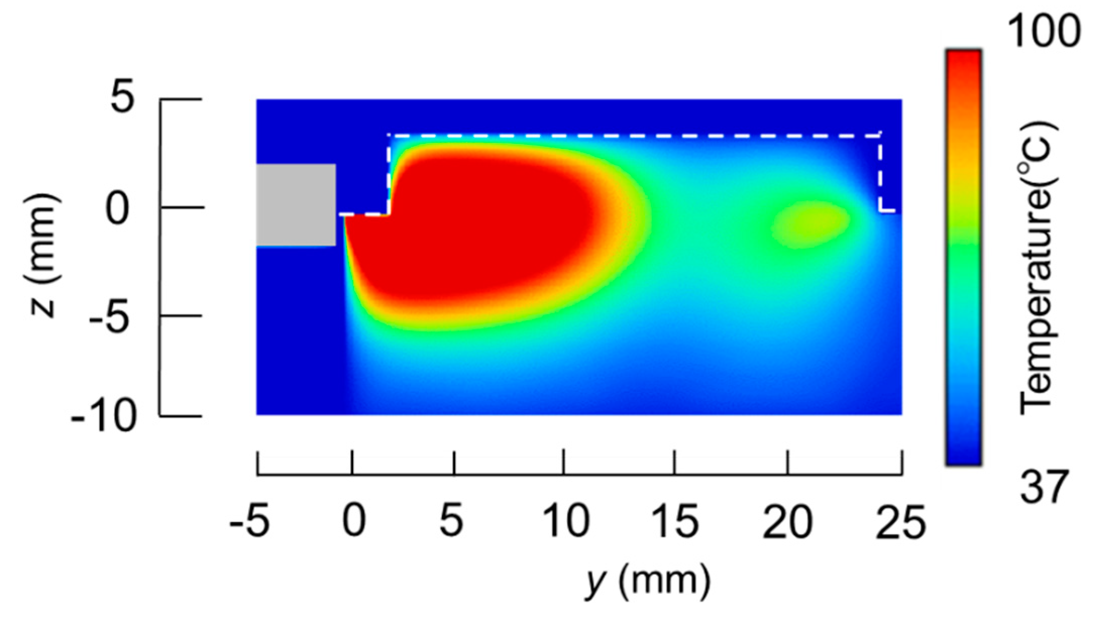 Diagnostics 08 00083 g008