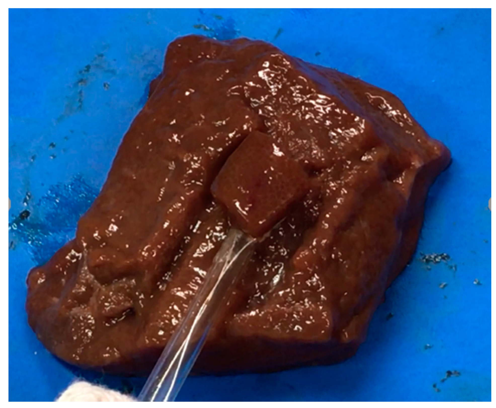 Diagnostics 08 00083 g014