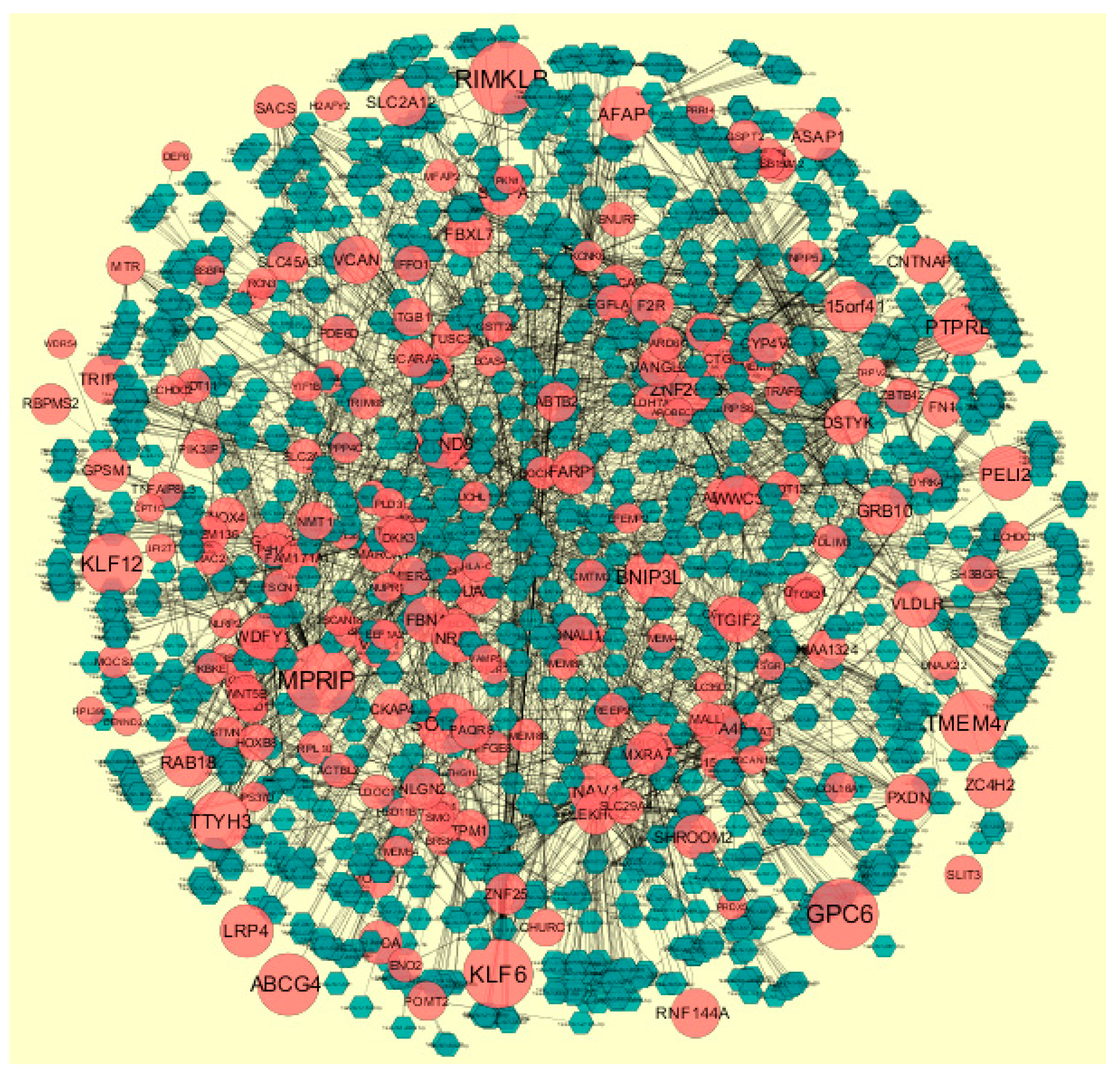 Diagnostics 09 00039 g013
