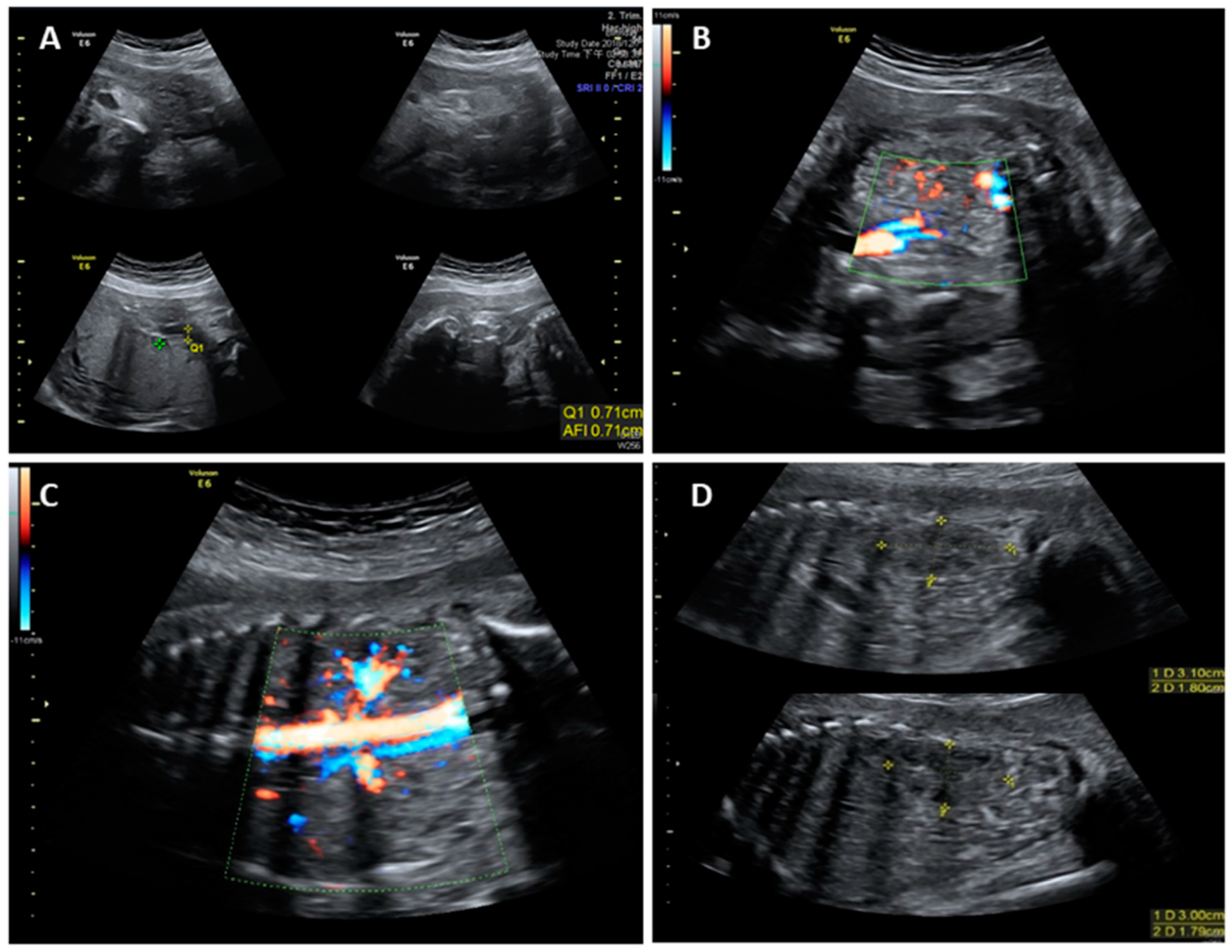 Diagnostics 09 00185 g002