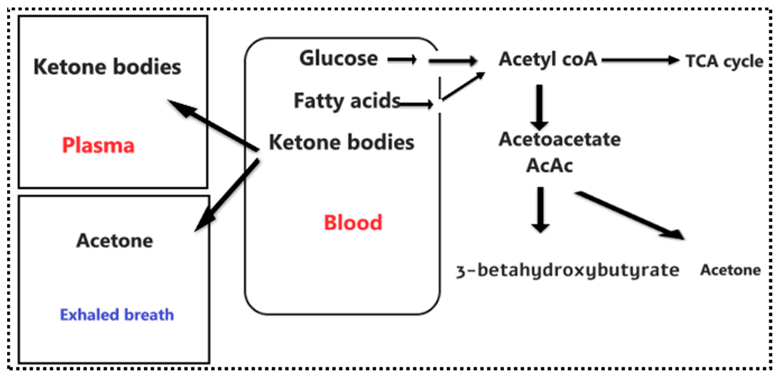 Diagnostics | Free Full-Text | Blood Ketone Bodies and Breath Acetone  Analysis and Their Correlations in Type 2 Diabetes Mellitus