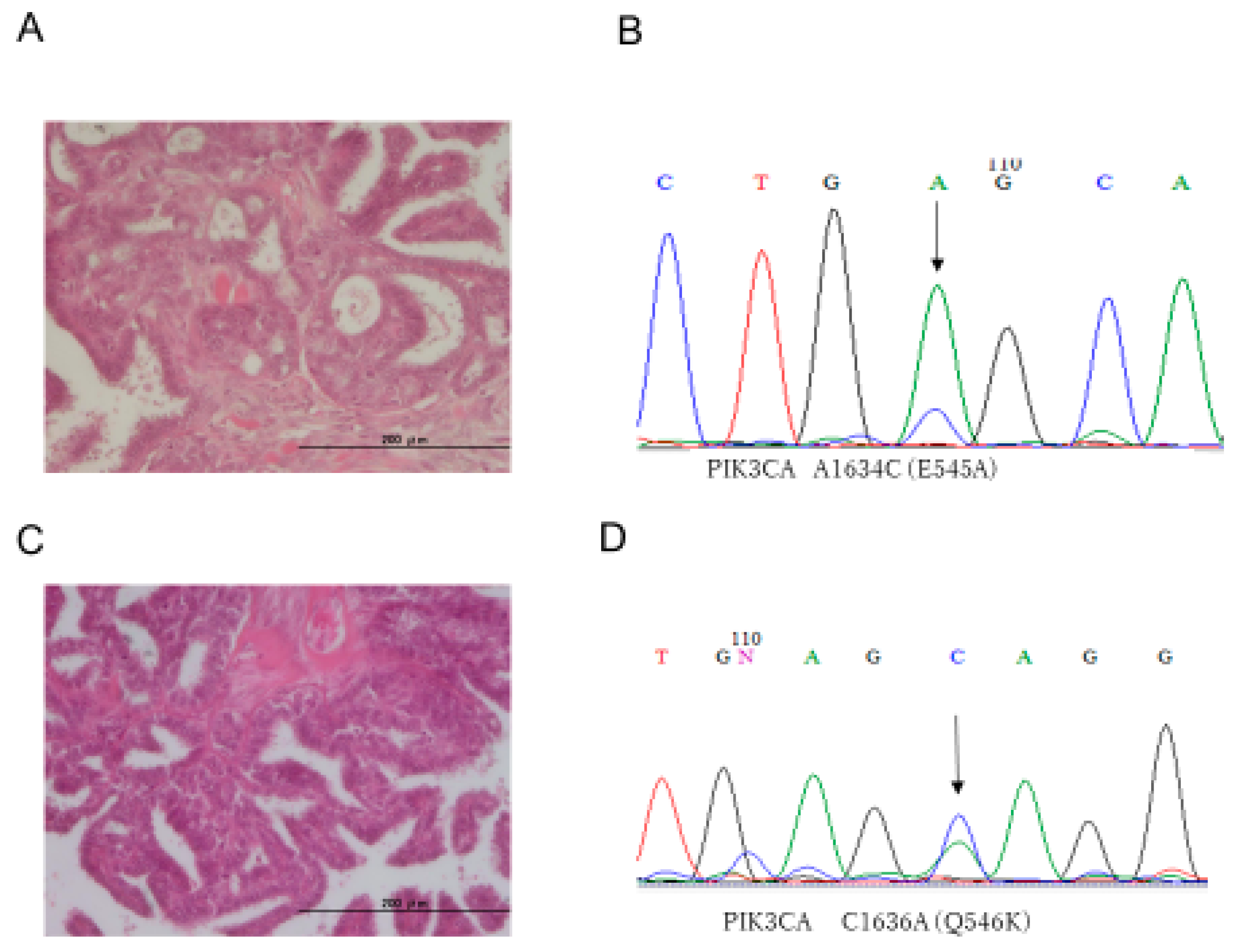 Diagnostics 10 00013 g001