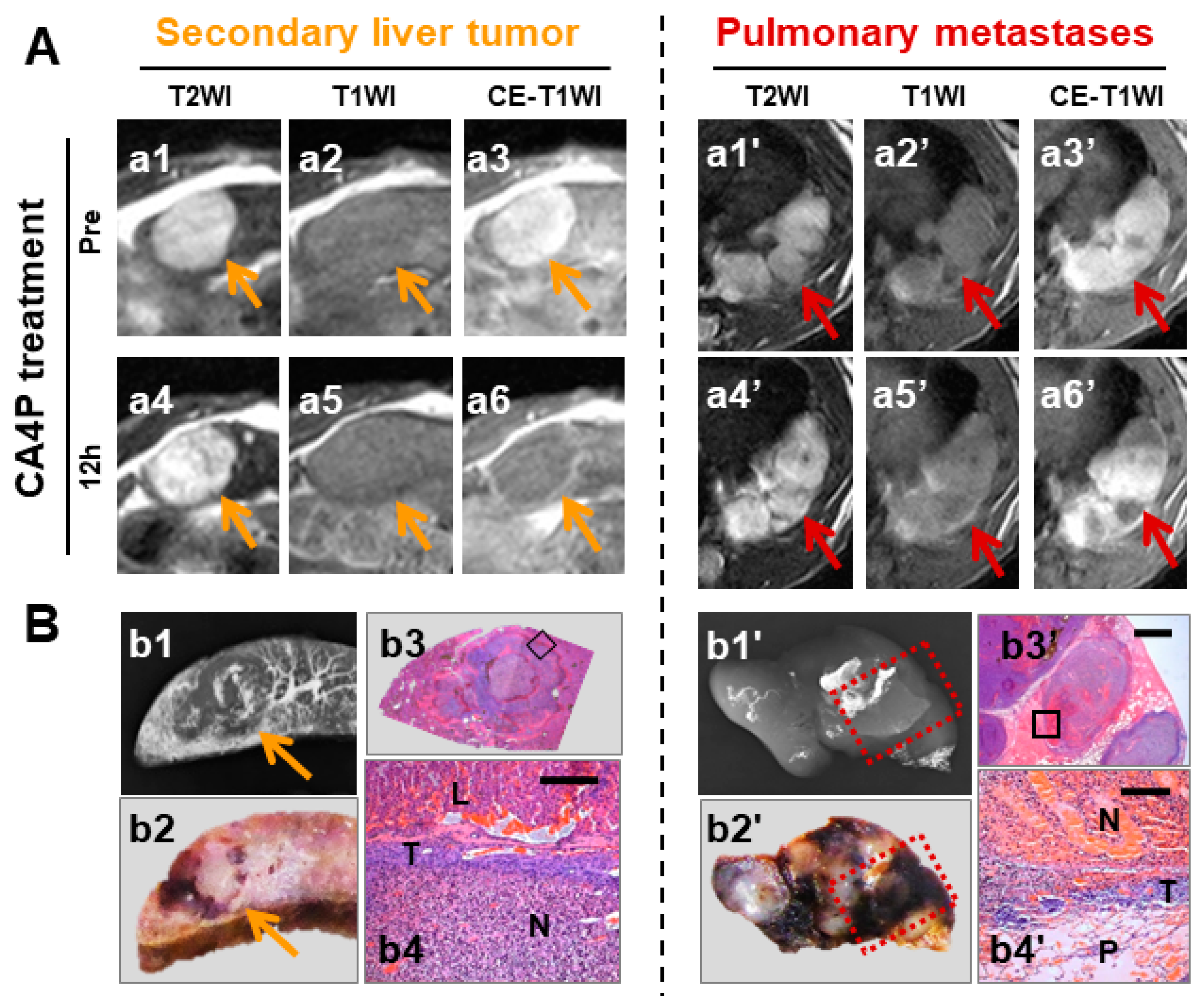 Diagnostics | Free Full-Text | Predicting Clinical Efficacy of