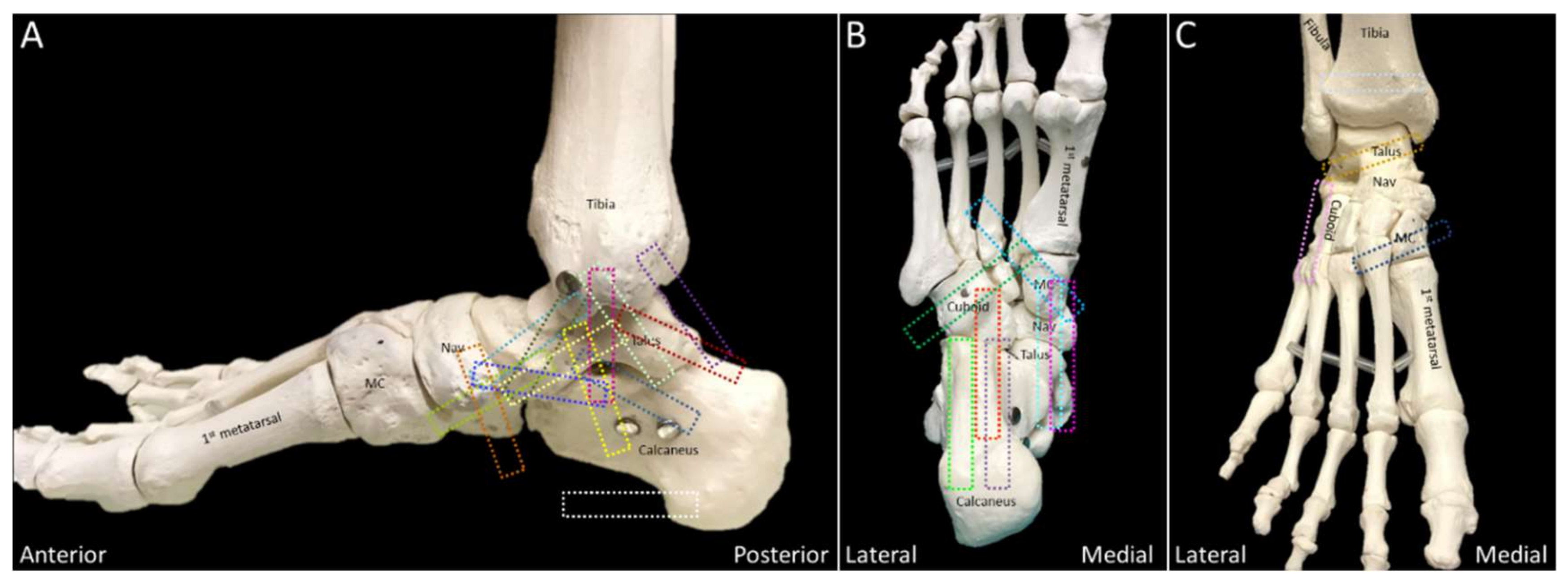 Diagnostics 10 00160 g003