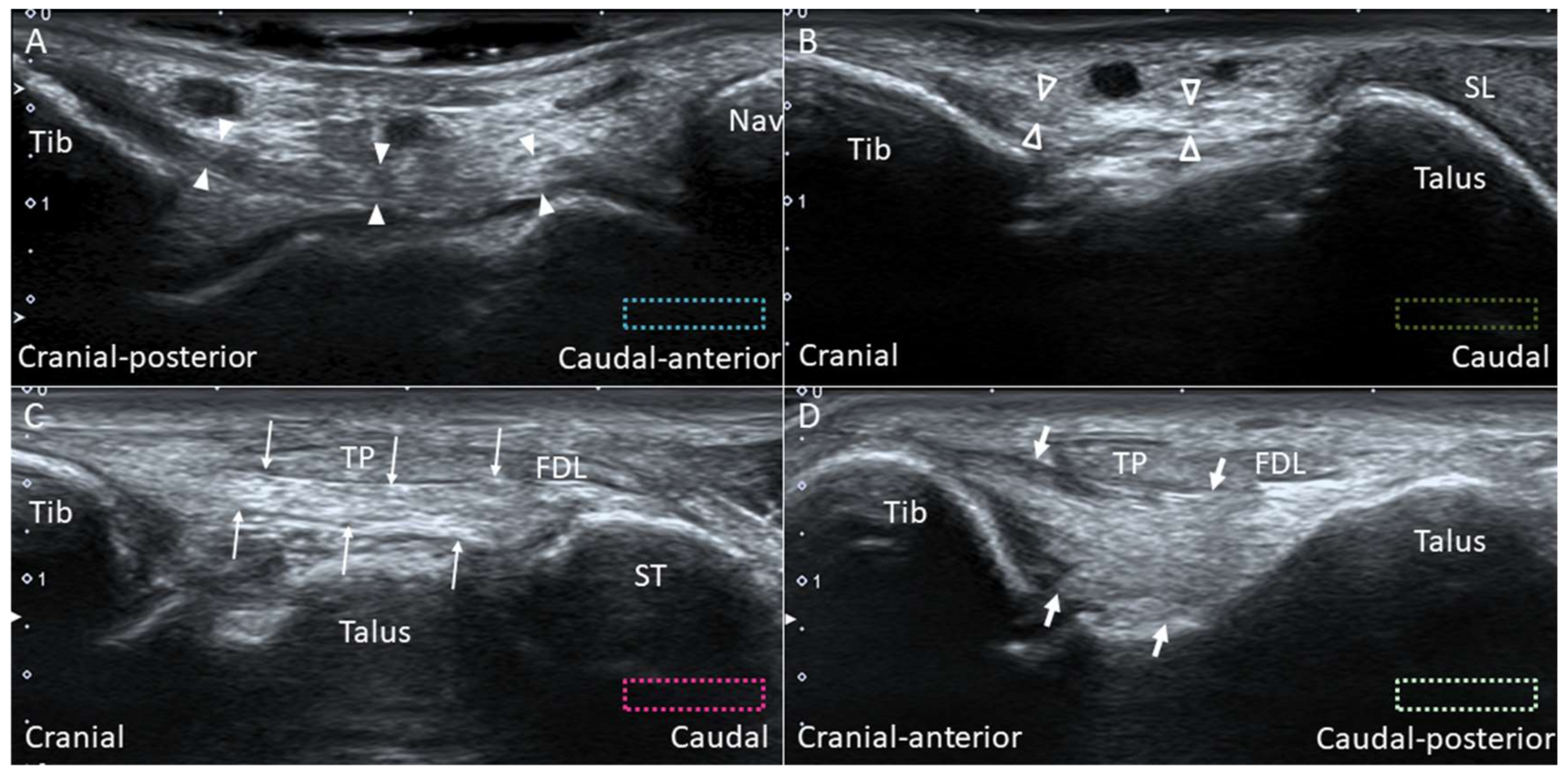 Diagnostics 10 00160 g009