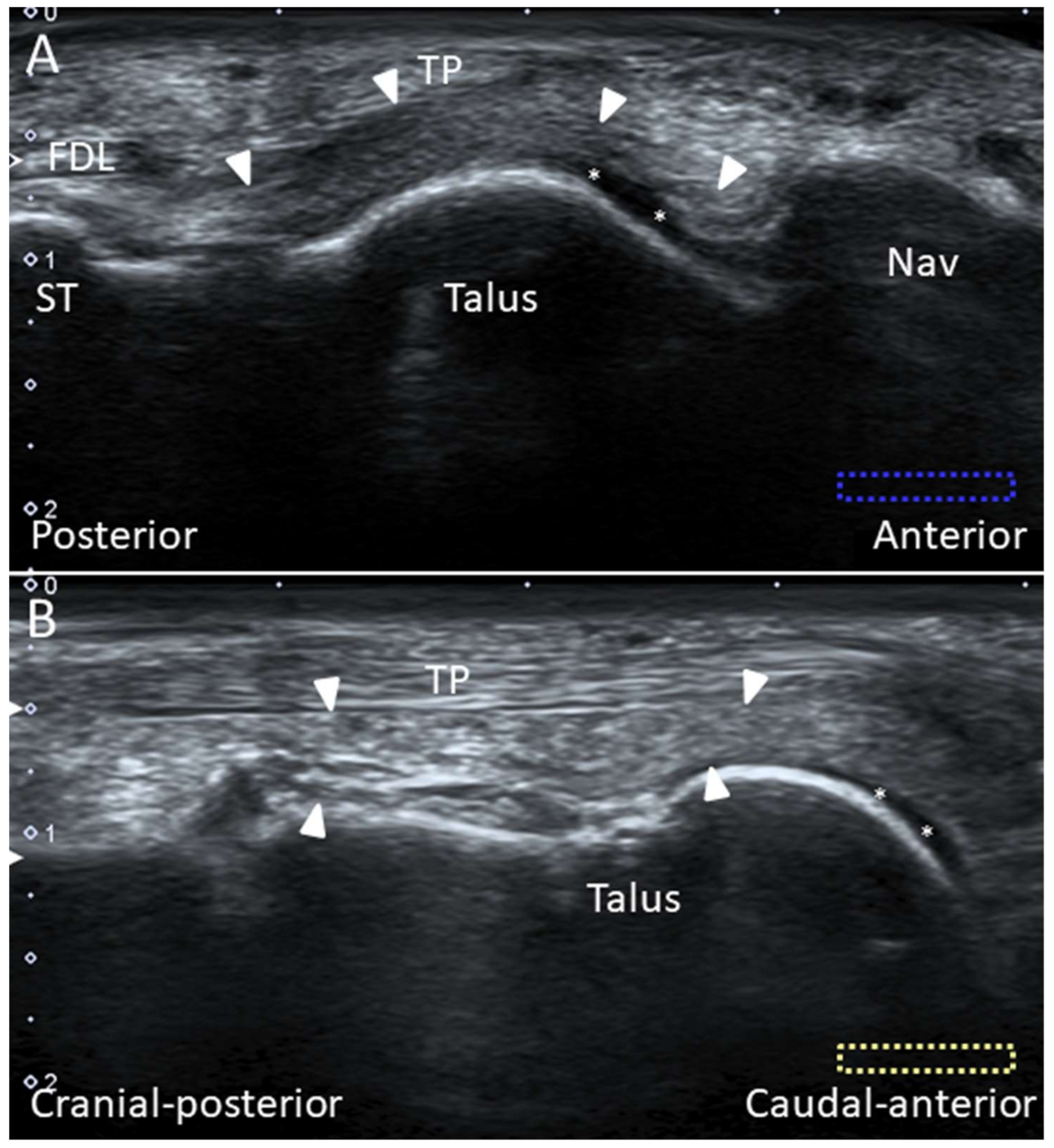 Diagnostics 10 00160 g011