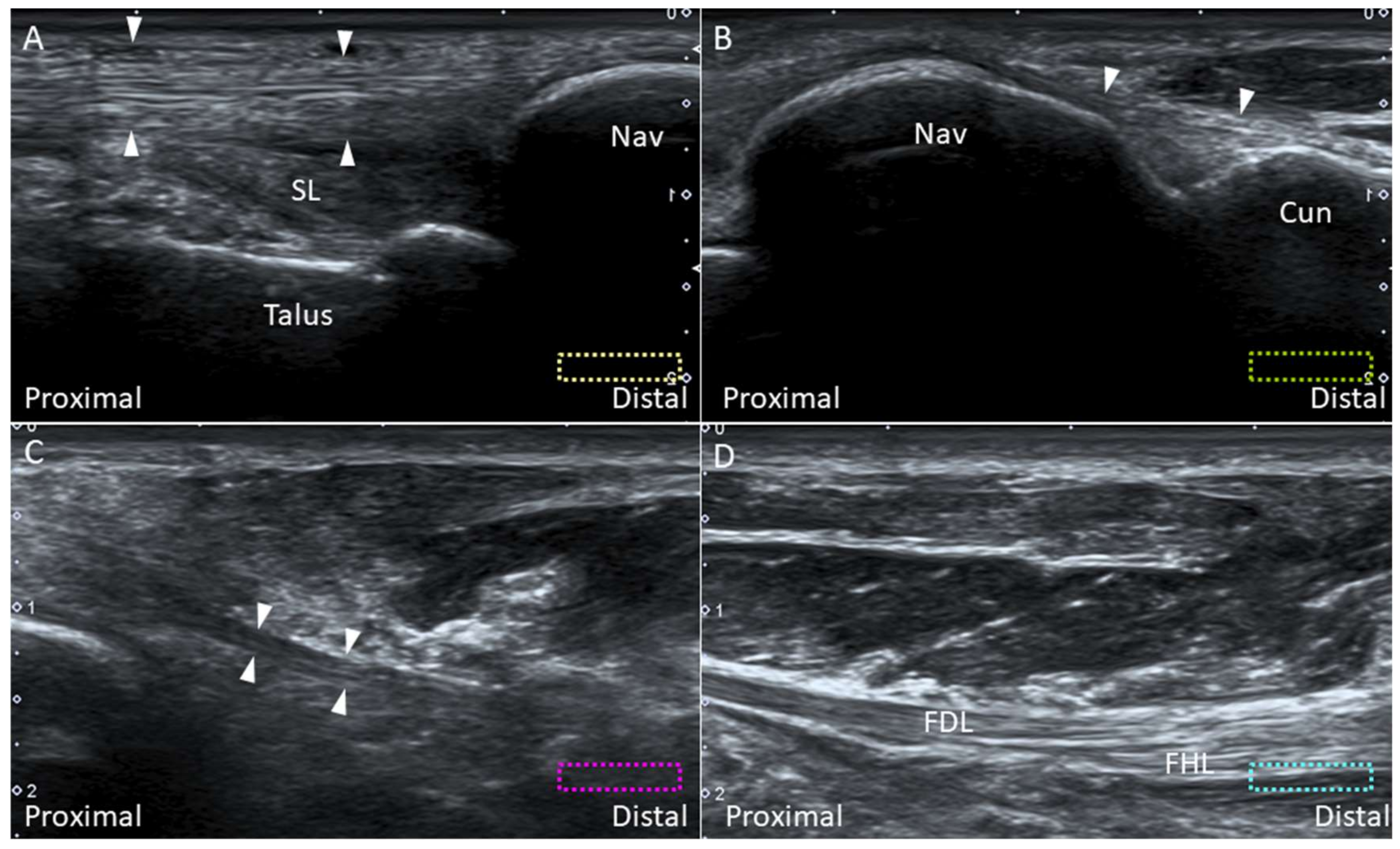 Diagnostics 10 00160 g021