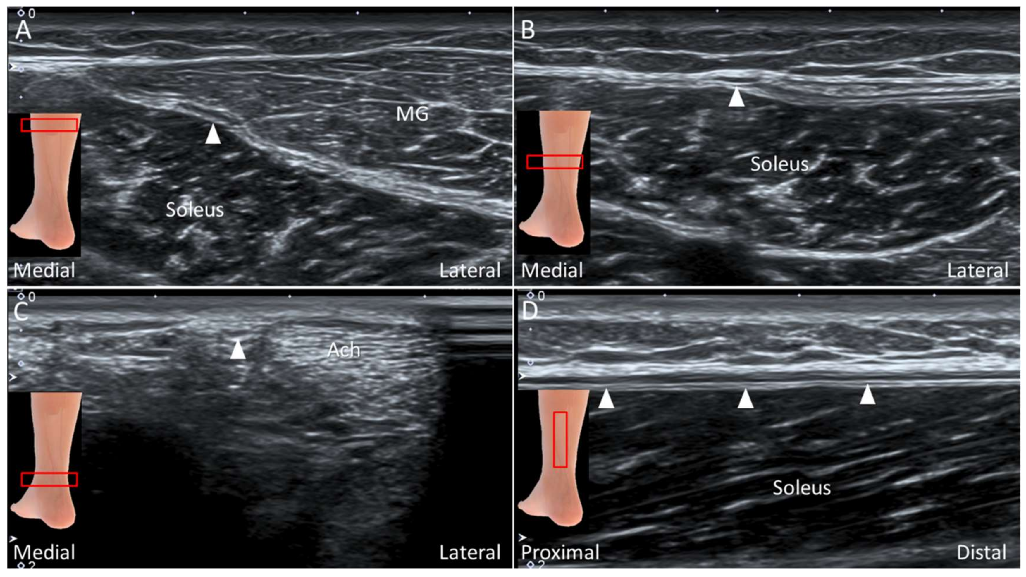 Diagnostics 10 00160 g023
