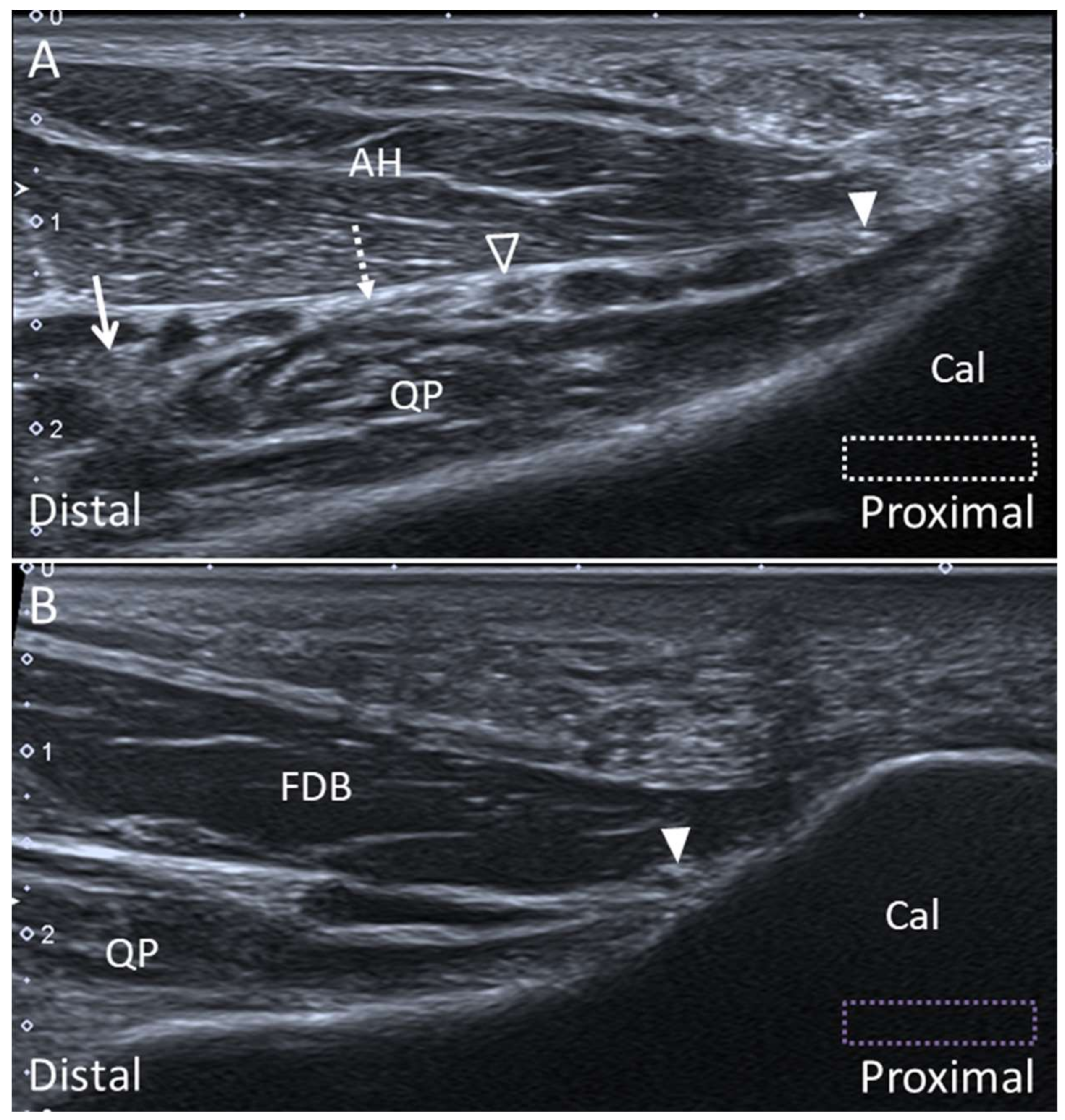 Diagnostics 10 00160 g026