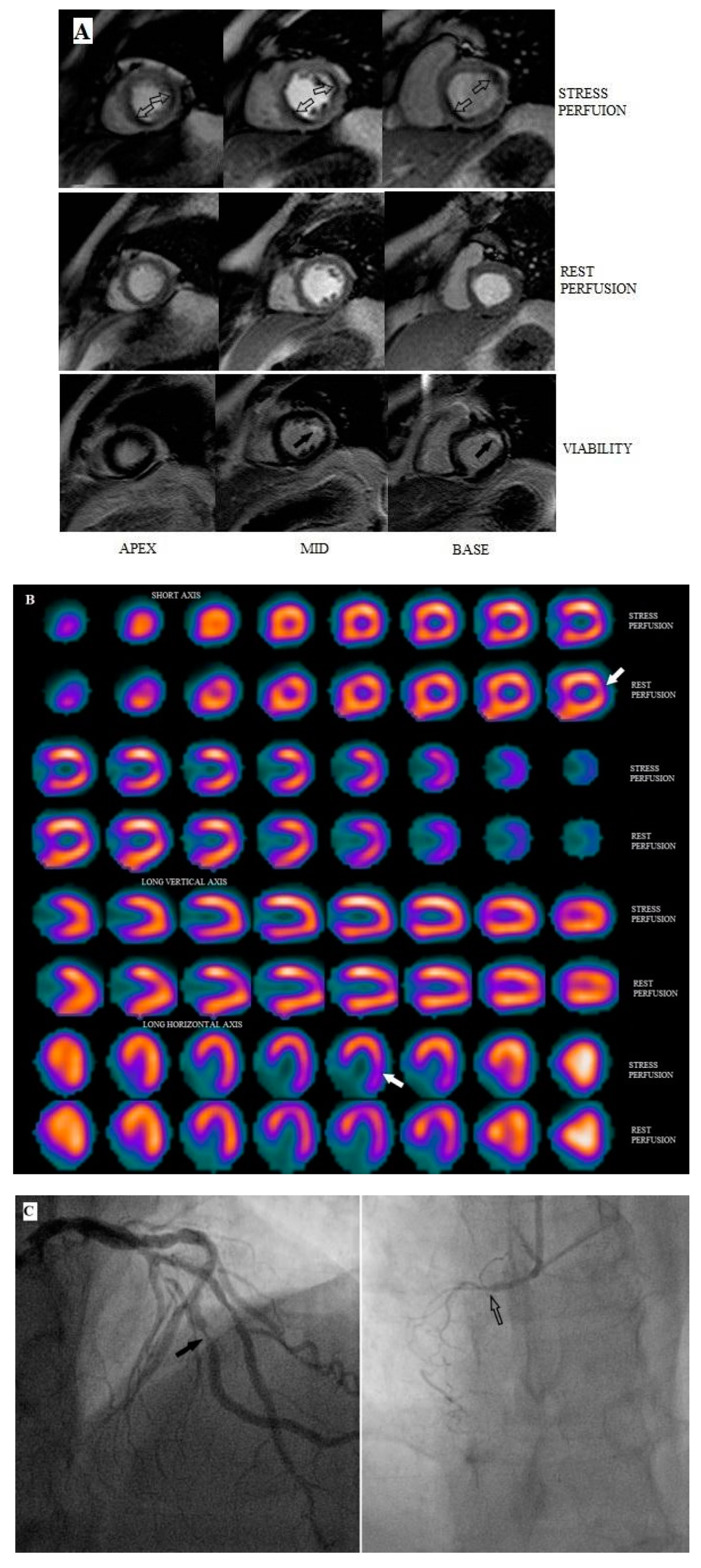 Diagnostics 10 00190 g001