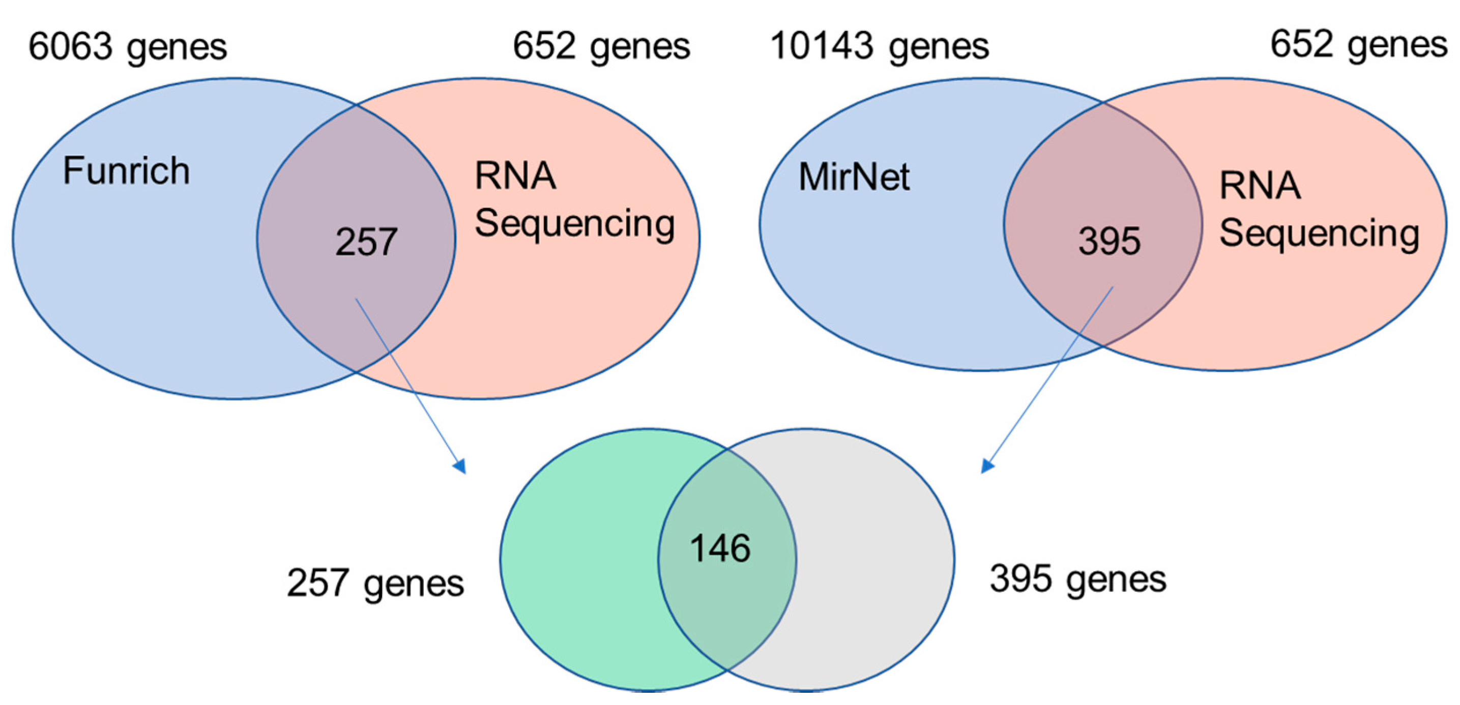 Diagnostics | Free Full-Text | Identification of the Potential ...