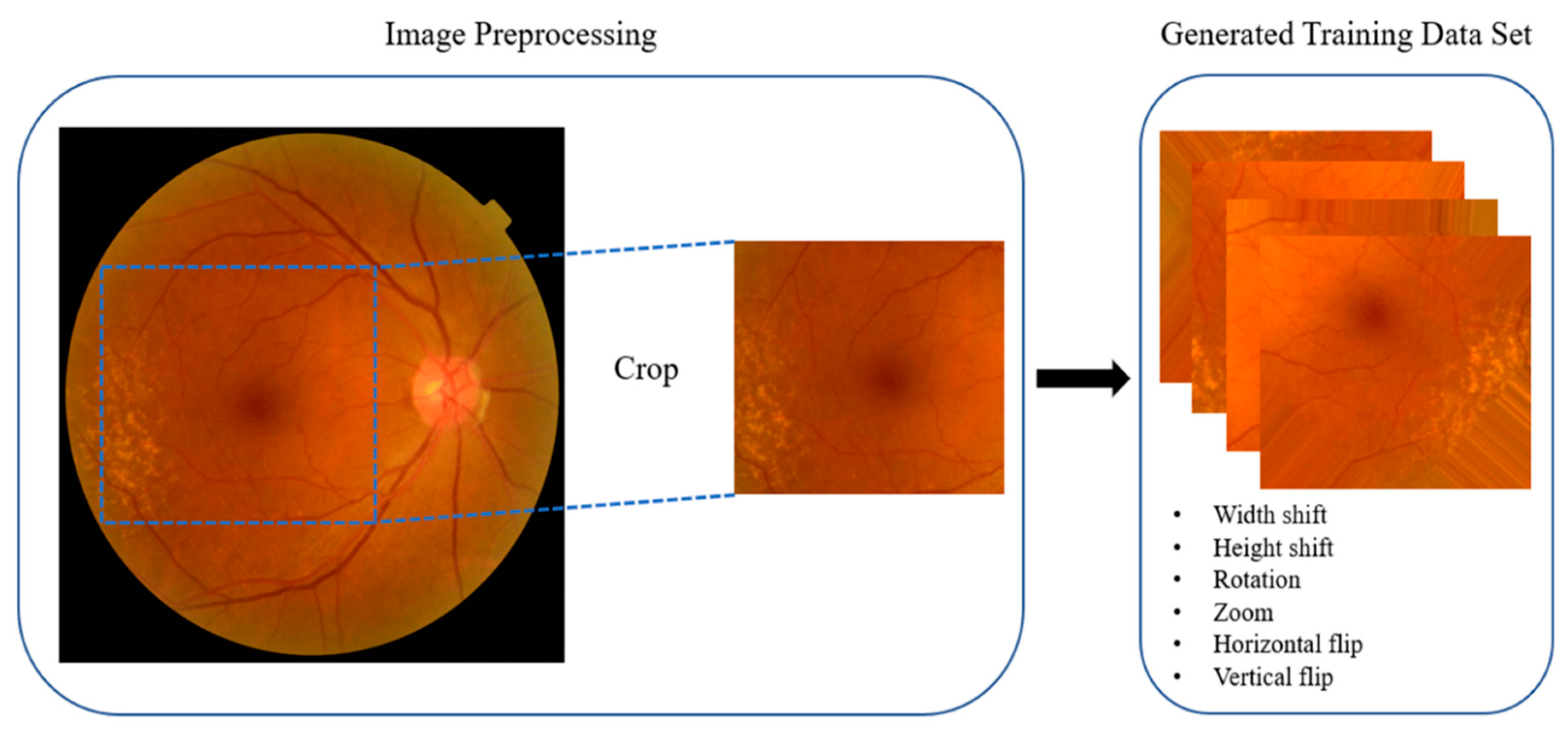 Diagnostics 10 00261 g004