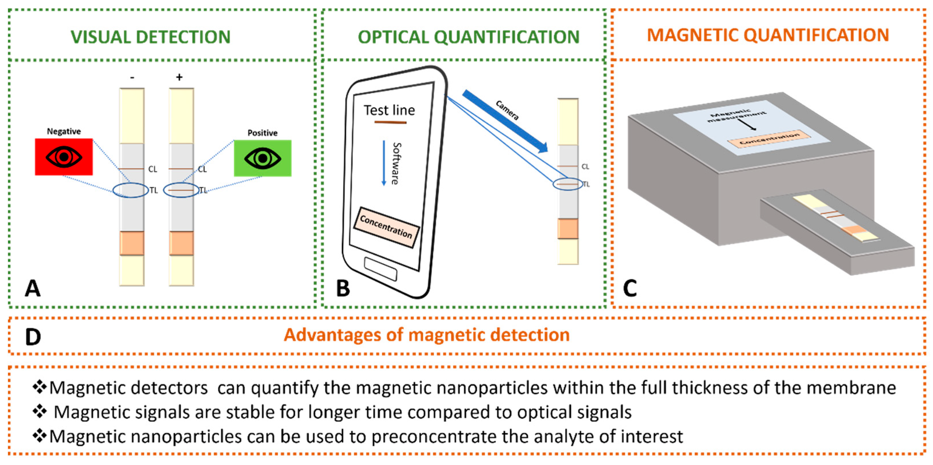 Diagnostics Free Full Text Magnetic Lateral Flow Immunoassays