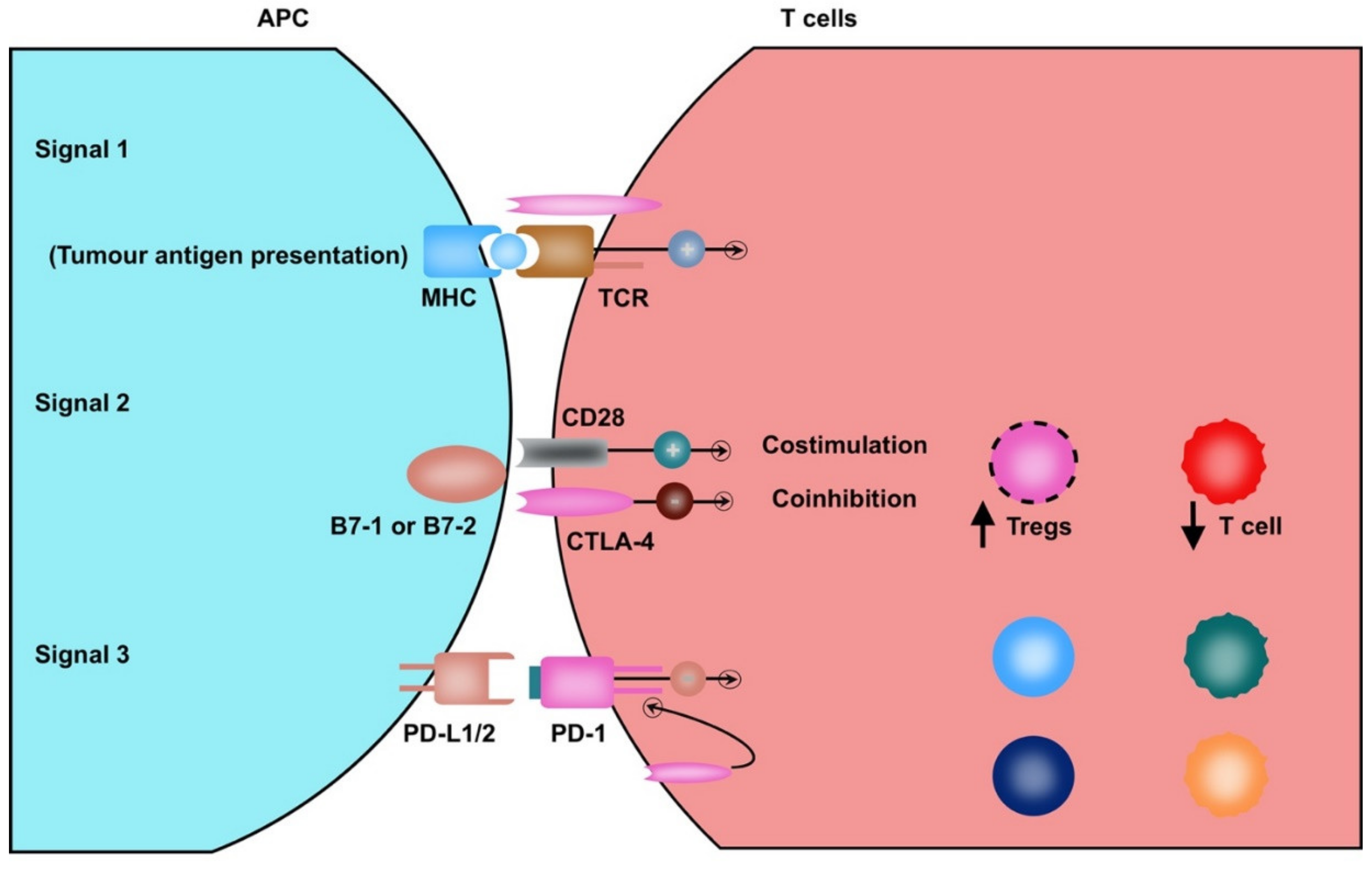Diagnostics 10 00338 g002 Diagnostics 10 00338 g002