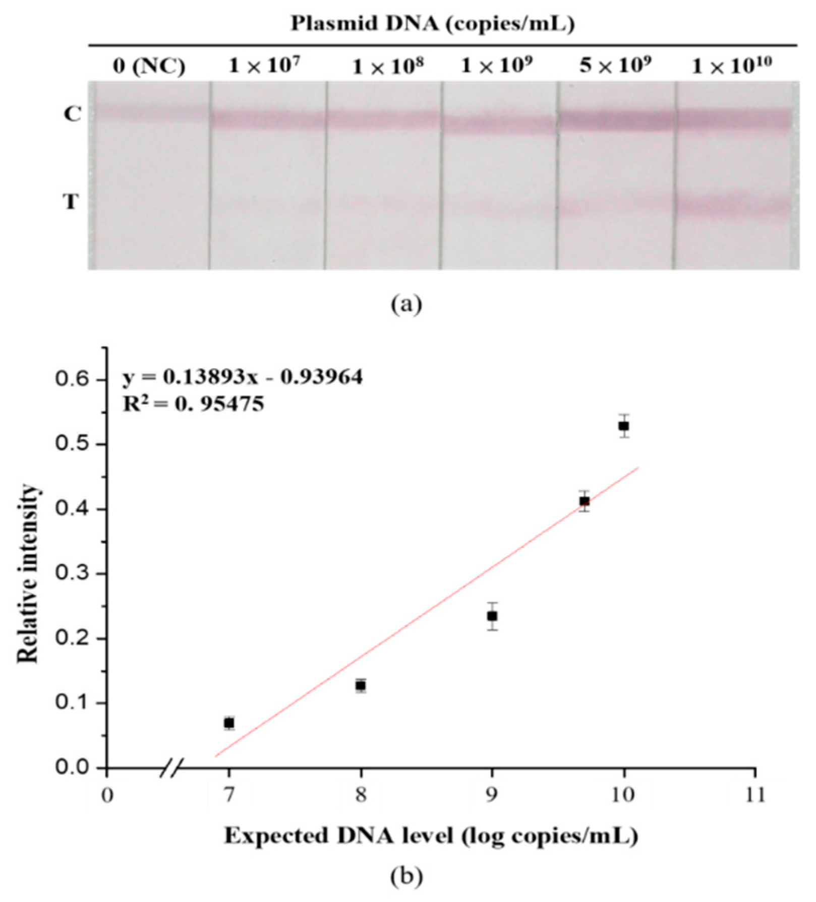 Diagnostics Free Full Text Development Of A Nucleic Acid Lateral Flow Immunoassay For The