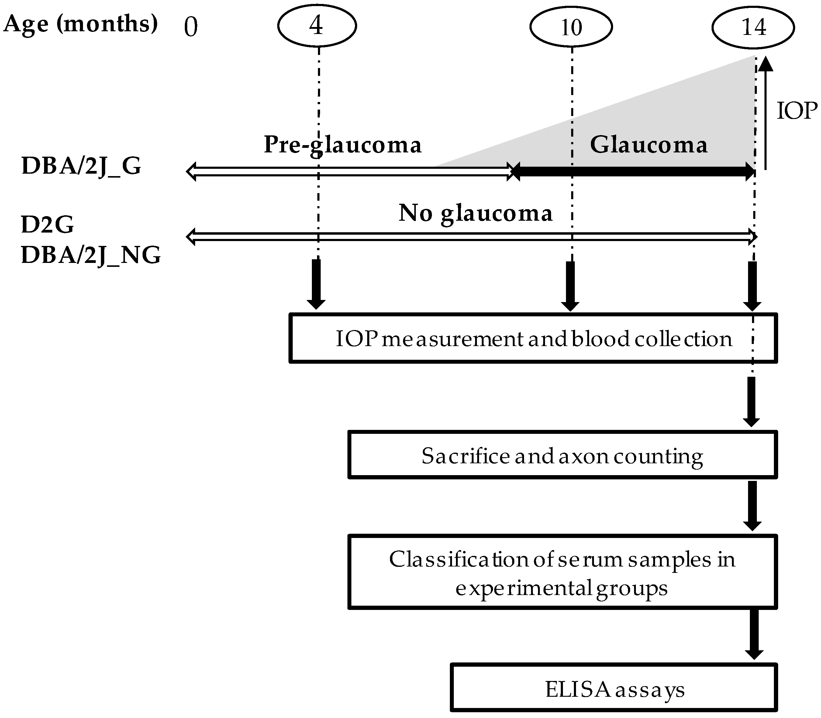 Diagnostics 10 00425 g001