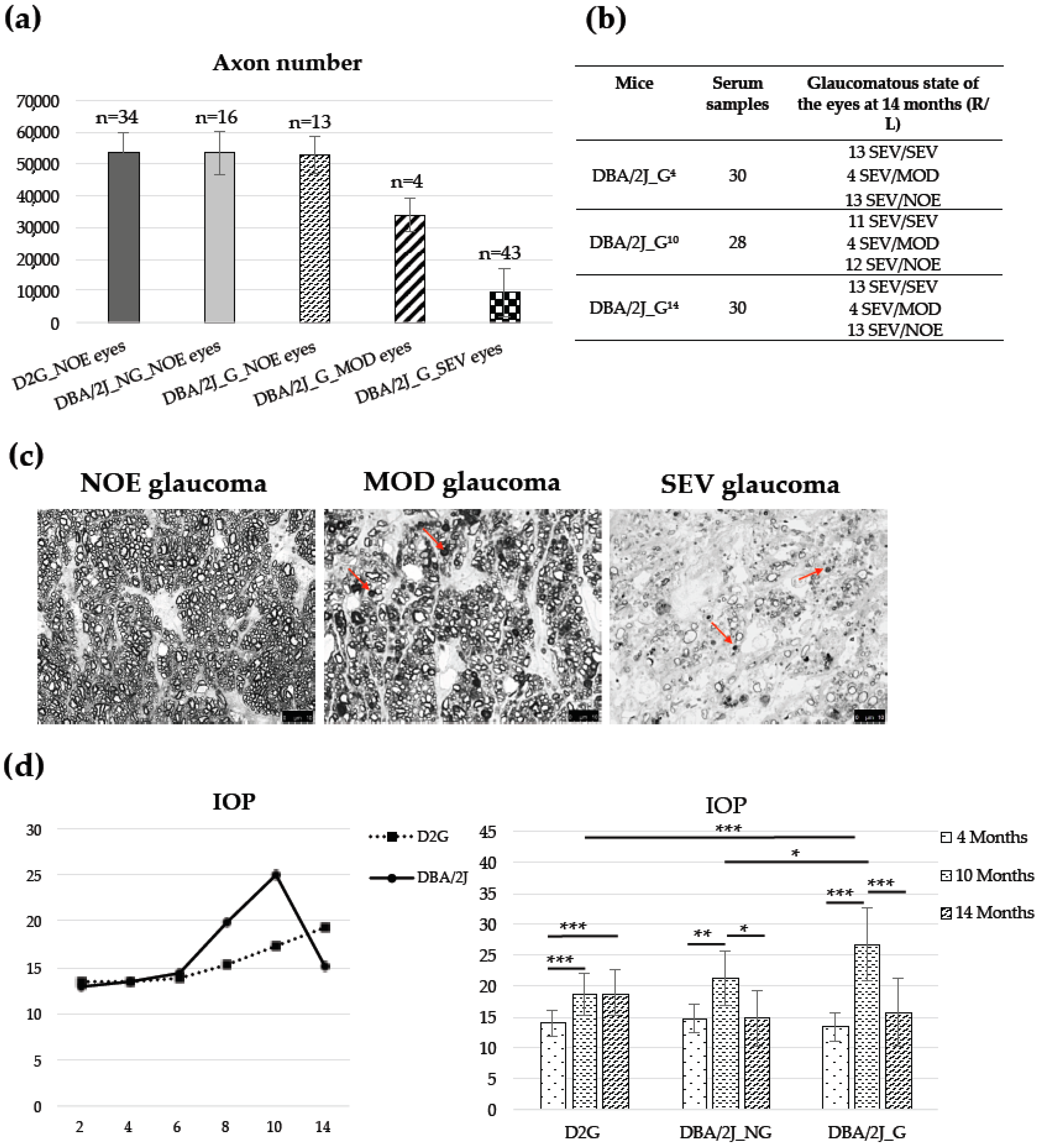 Diagnostics 10 00425 g003