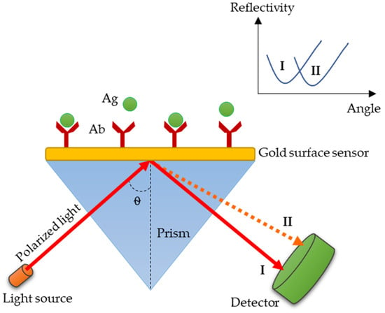 Diagnostics Free Full Text Laboratory Diagnosis Of Paratyphoid Fever Opportunity Of Surface Plasmon Resonance Html