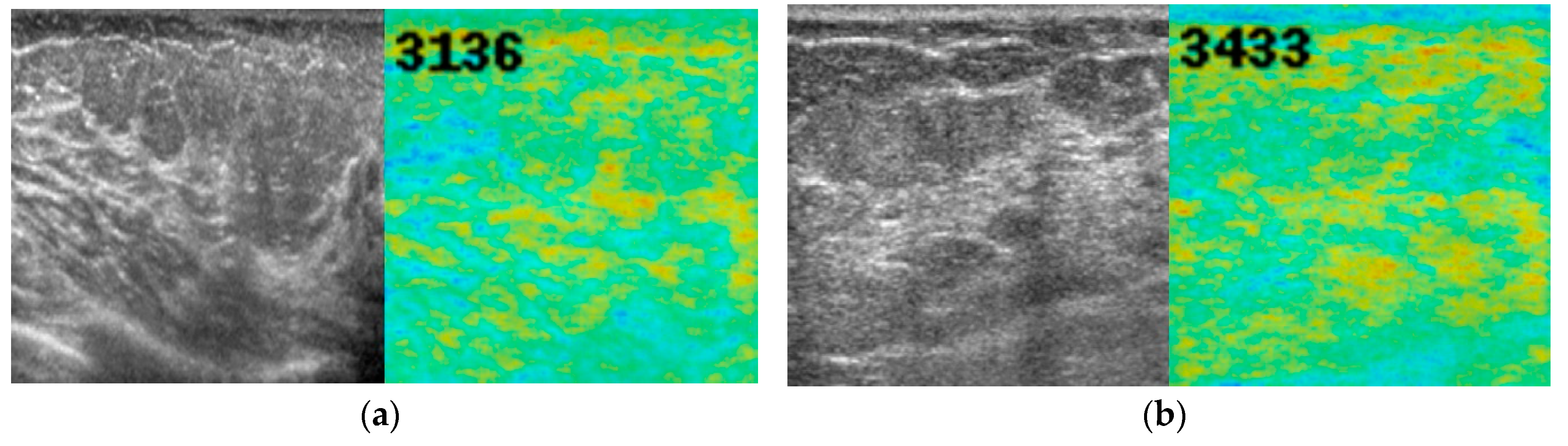 Diagnostics 10 00456 g004 Diagnostics 10 00456 g004