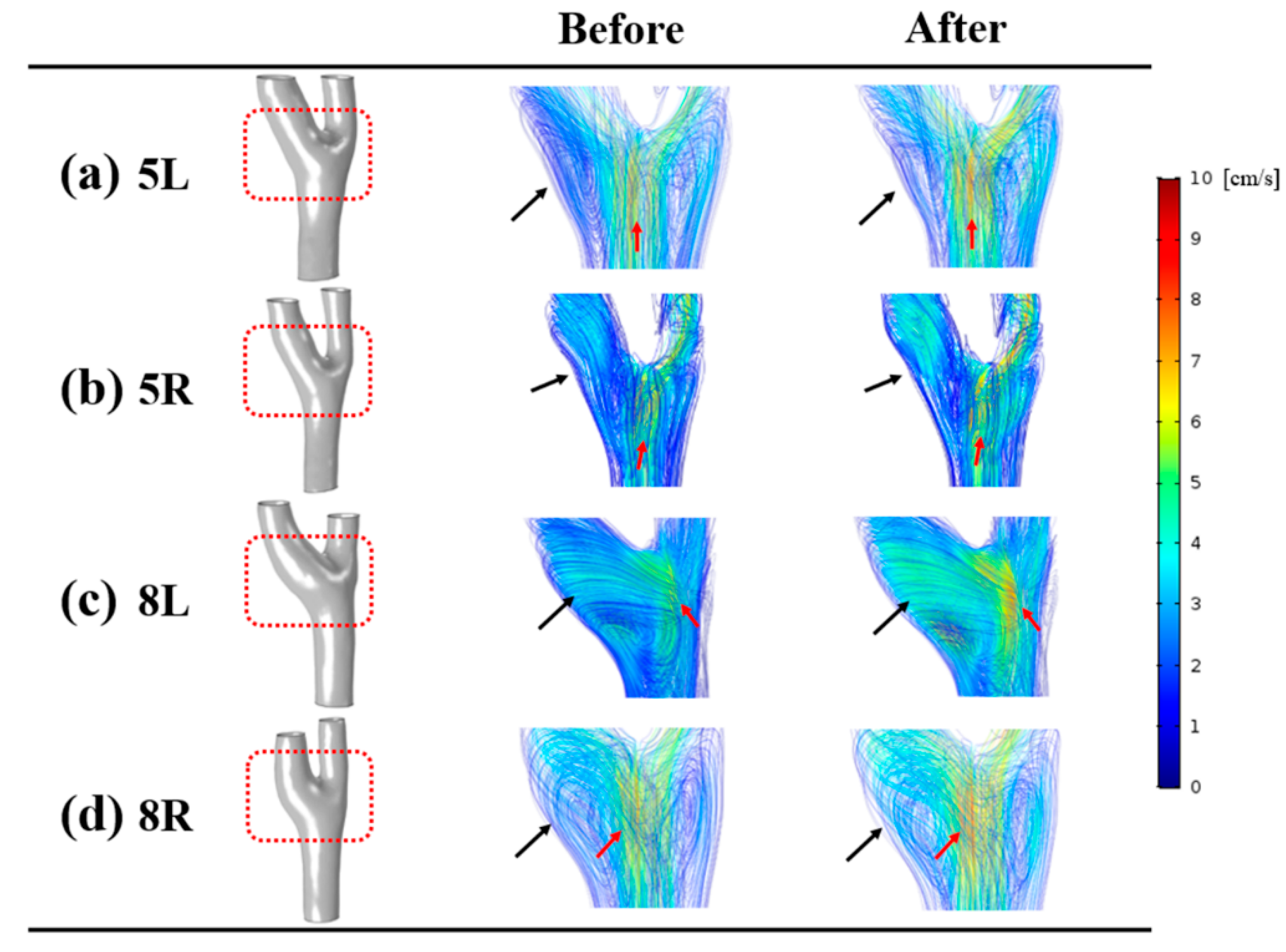 Diagnostics 10 00473 g004