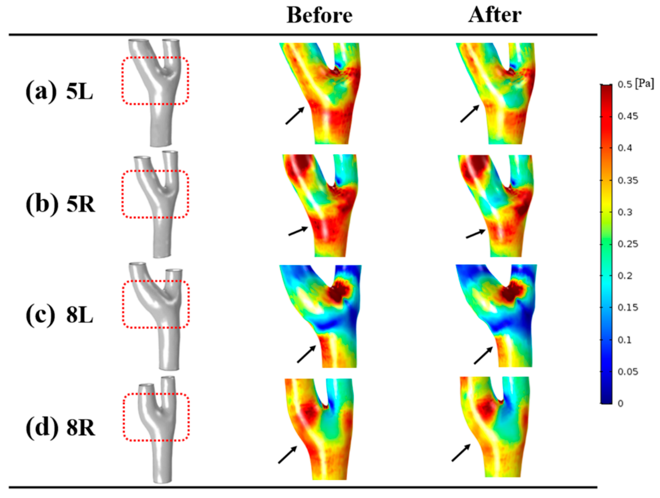 Diagnostics 10 00473 g006