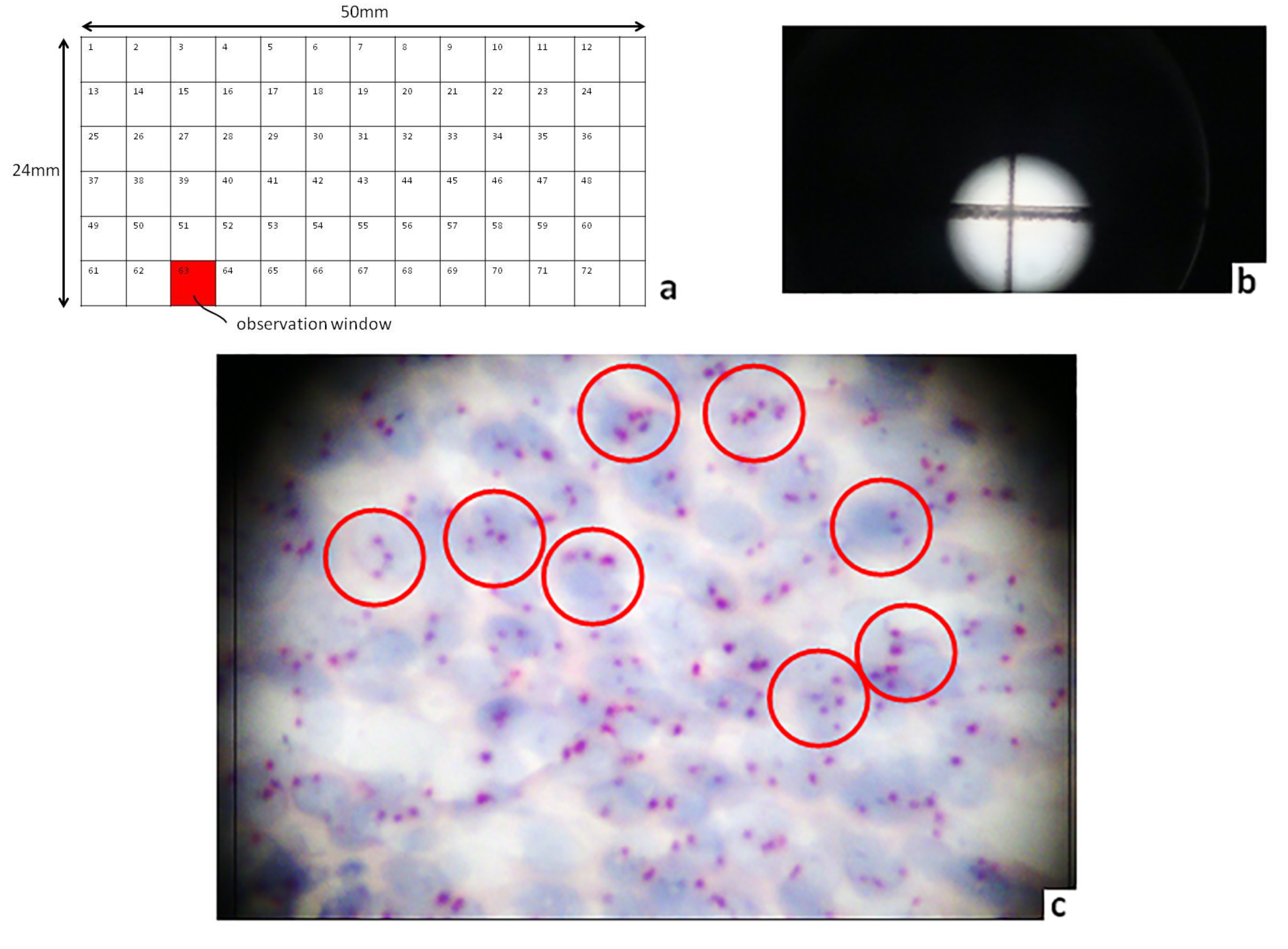 Diagnostics 10 00501 g001