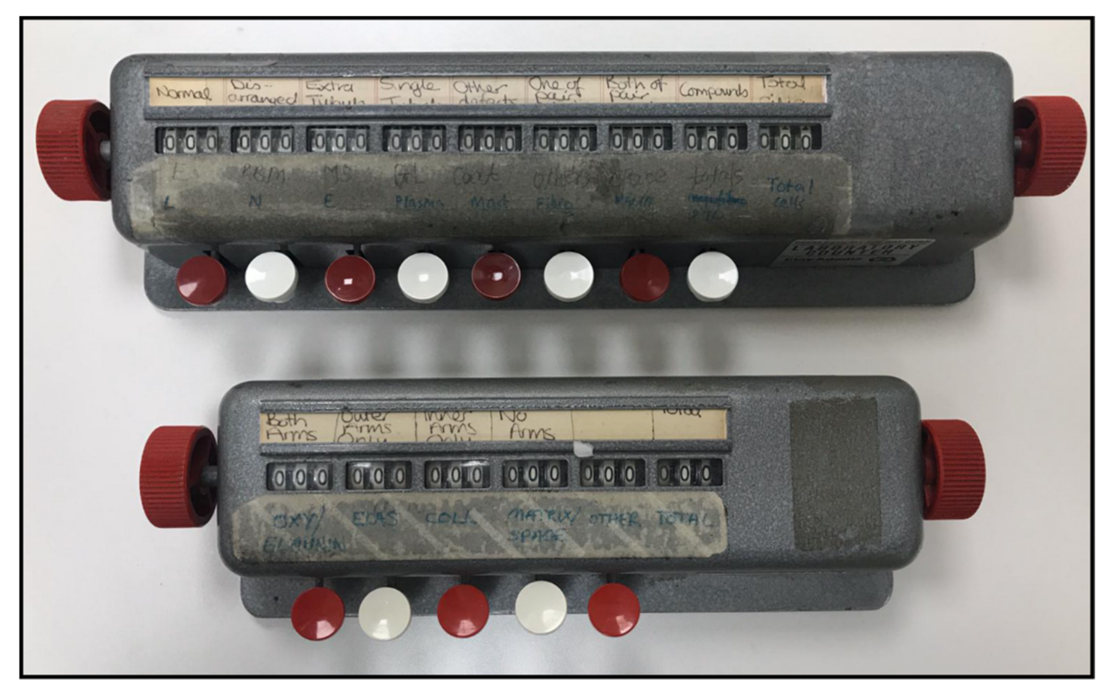 Diagnostics 10 00524 g003 Diagnostics 10 00524 g003