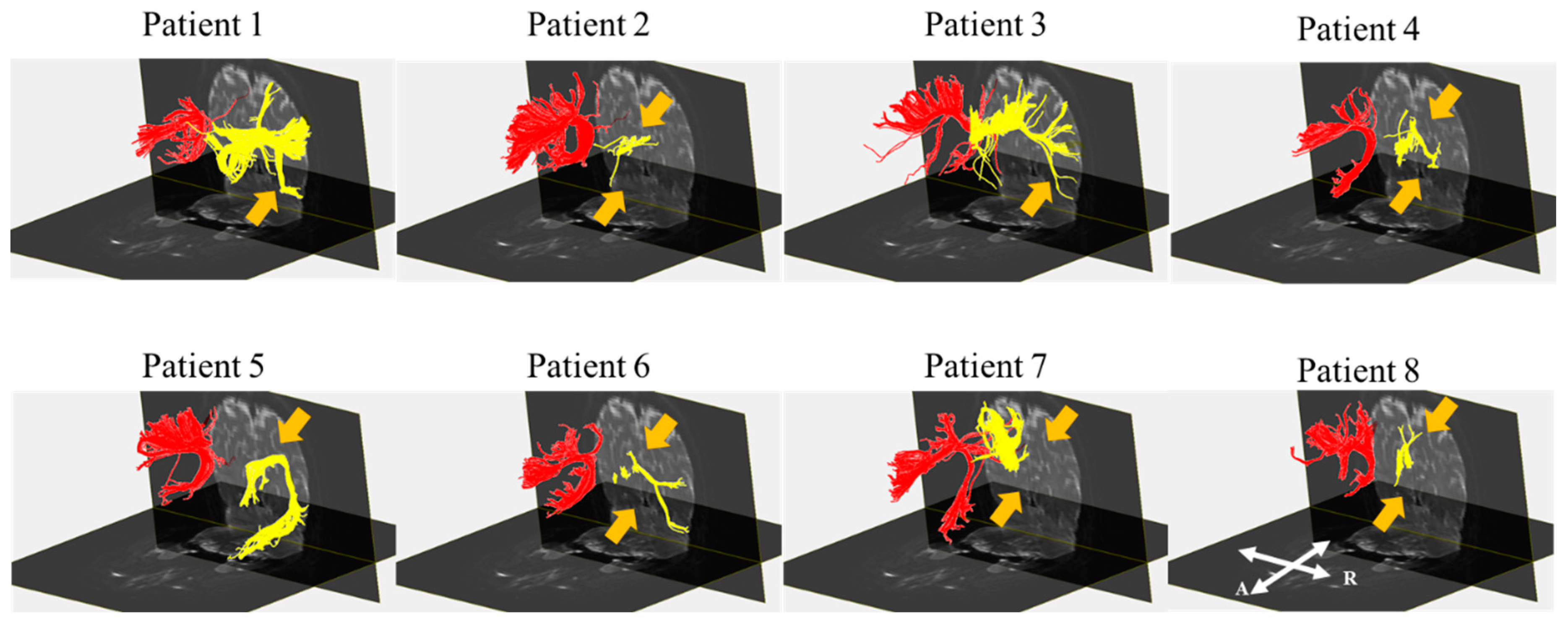 Diagnostics 10 00641 g003 Diagnostics 10 00641 g003