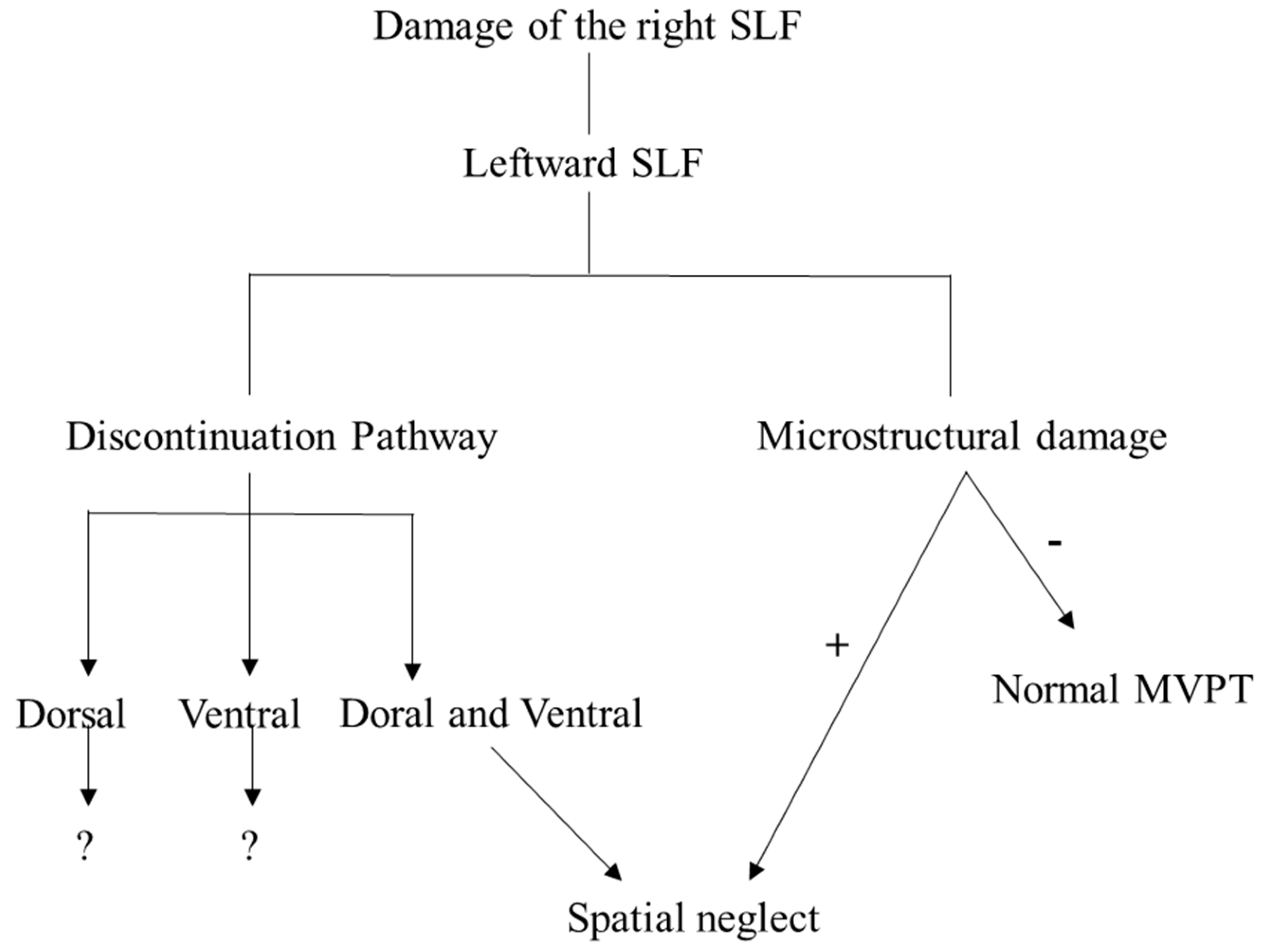 Diagnostics 10 00641 g004 Diagnostics 10 00641 g004