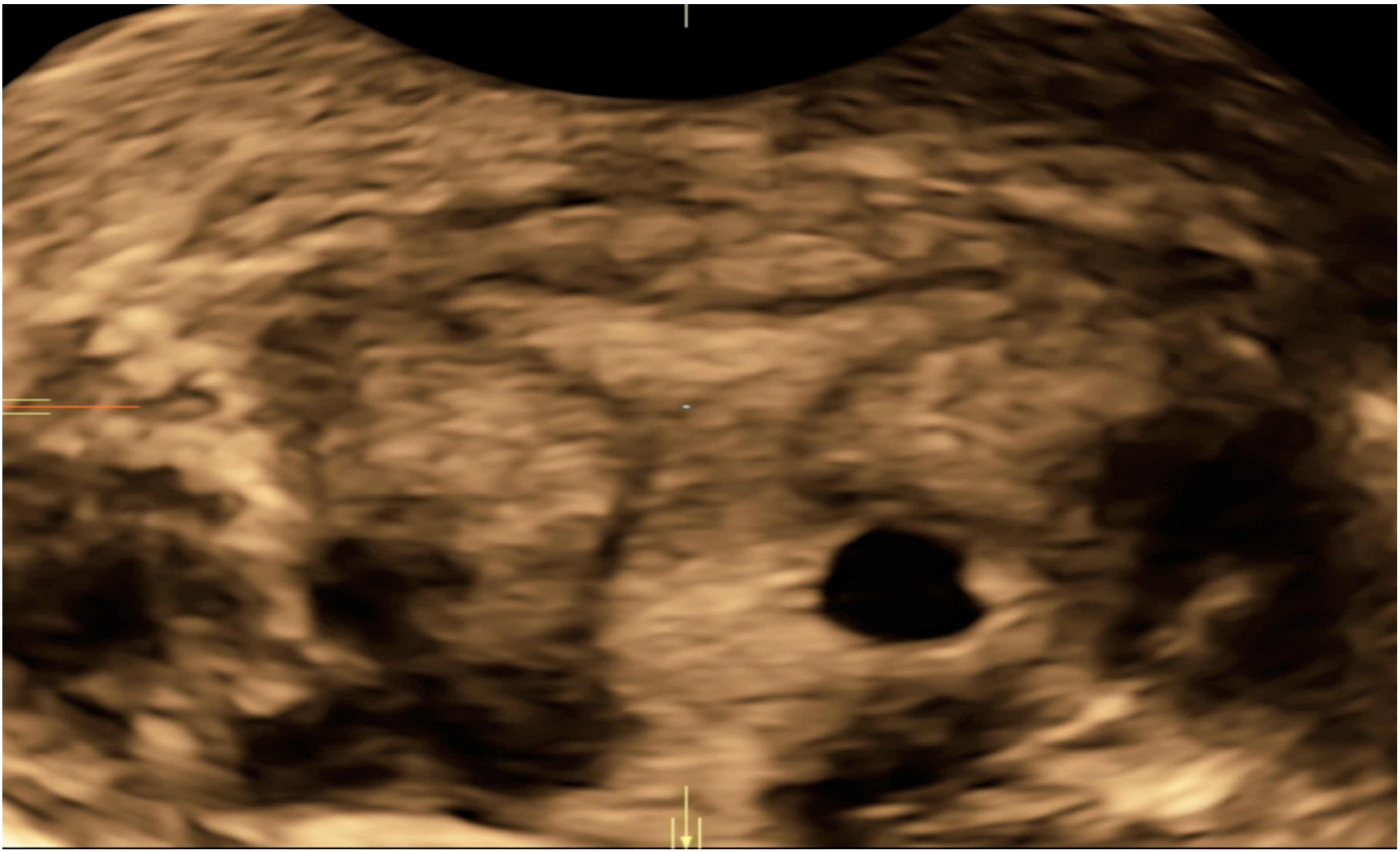 Diagnostics 10 00652 g002 Diagnostics 10 00652 g002