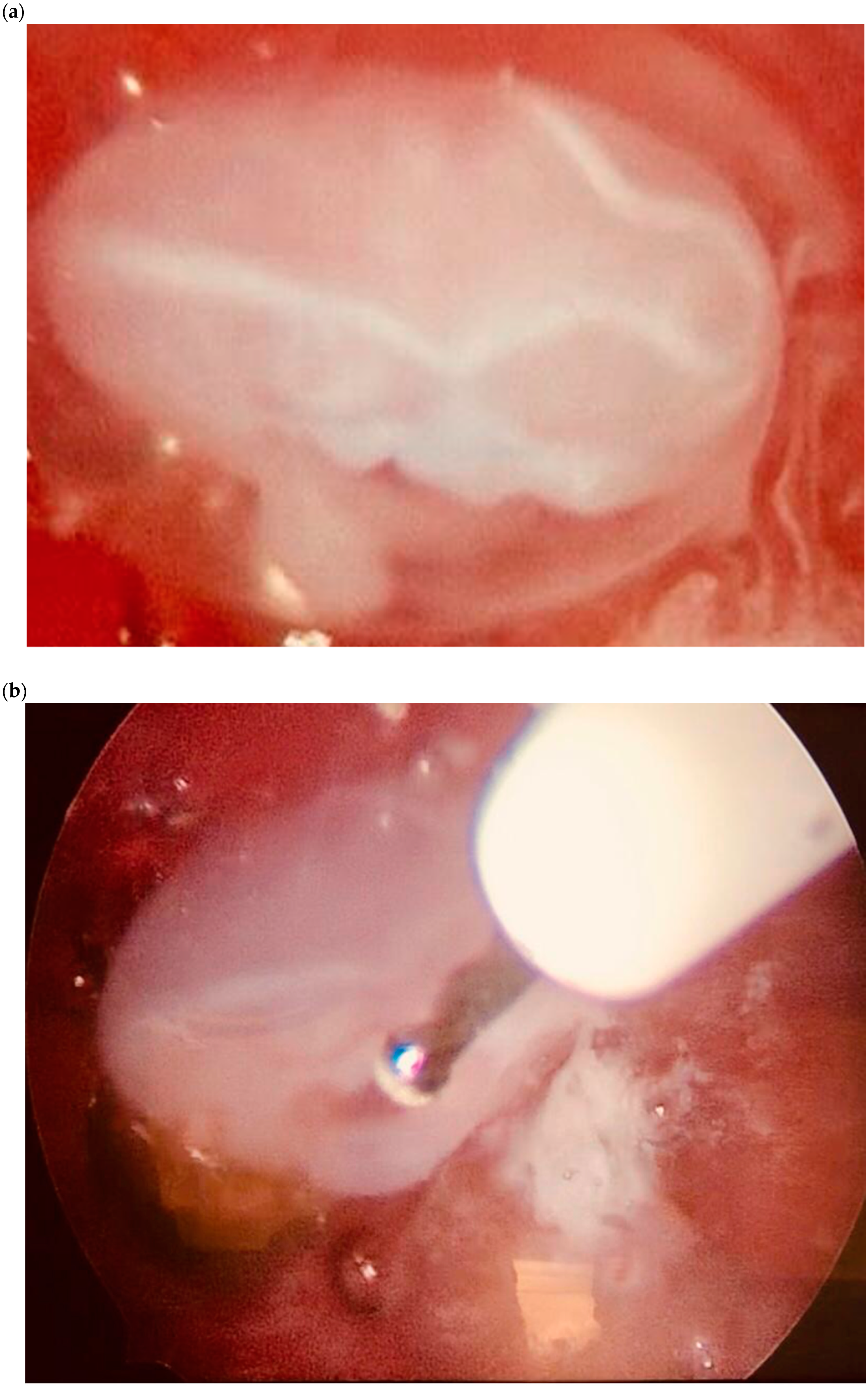 Diagnostics 10 00652 g006a Diagnostics 10 00652 g006a