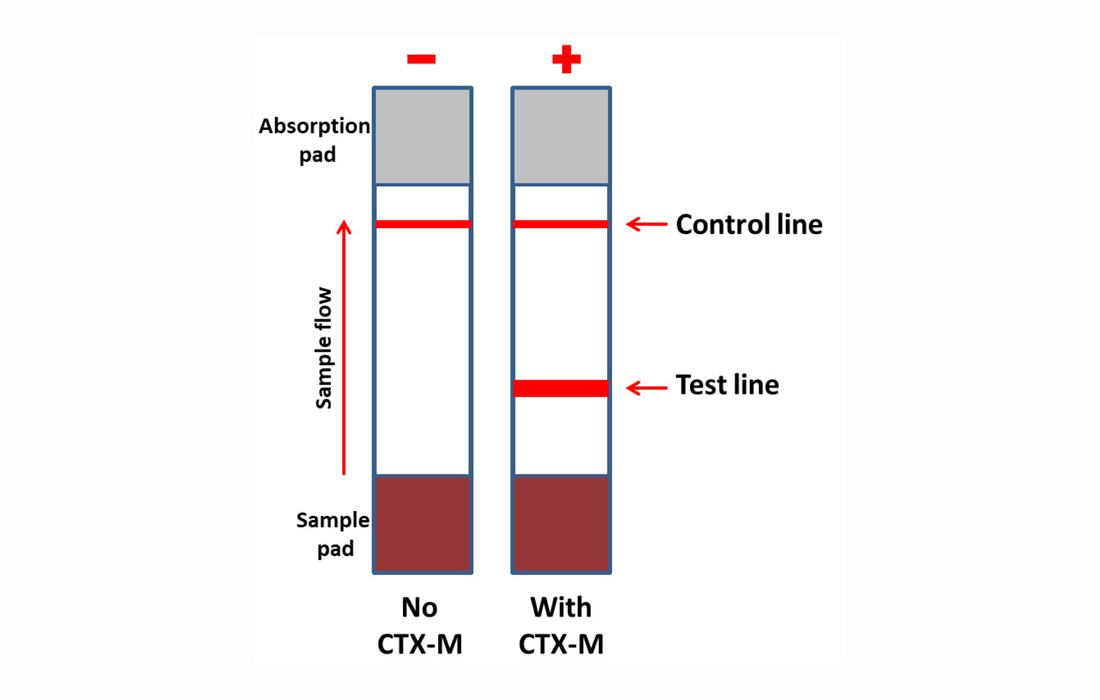 Diagnostics, Free Full-Text