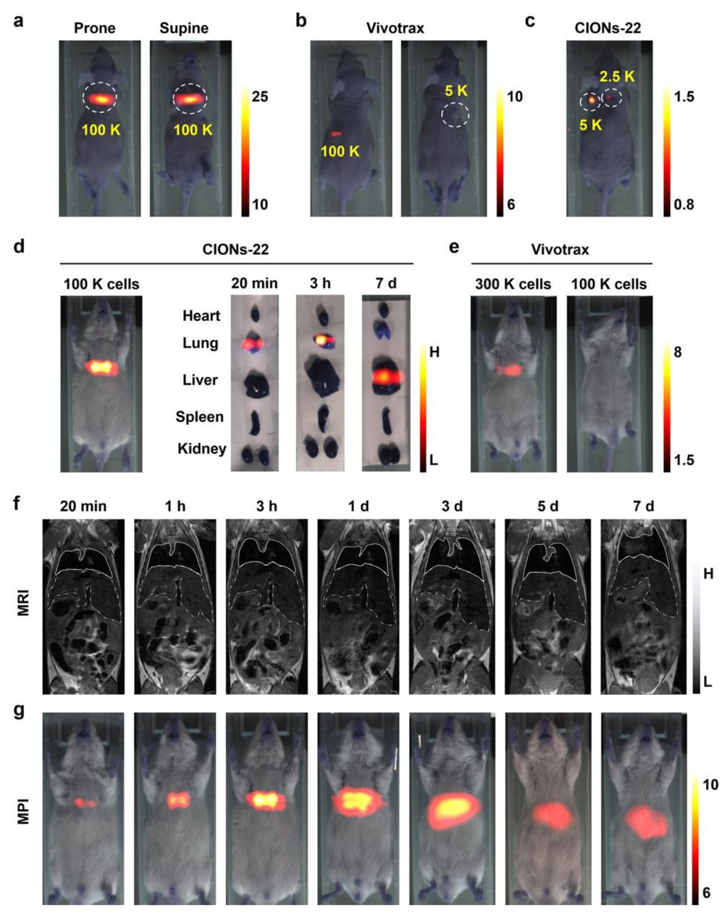 Diagnostics 10 00800 g001 Diagnostics 10 00800 g001