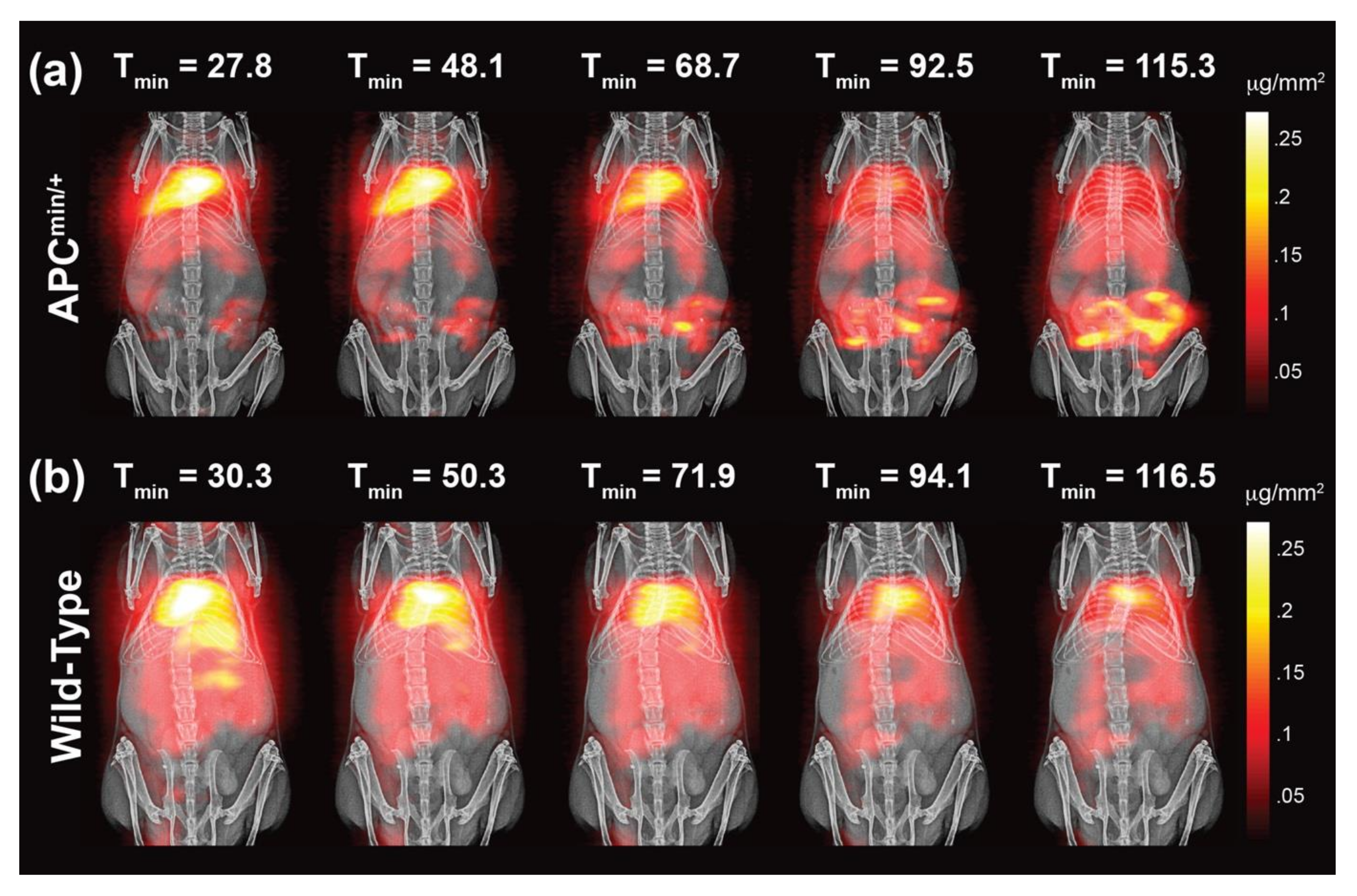Diagnostics 10 00800 g003 Diagnostics 10 00800 g003