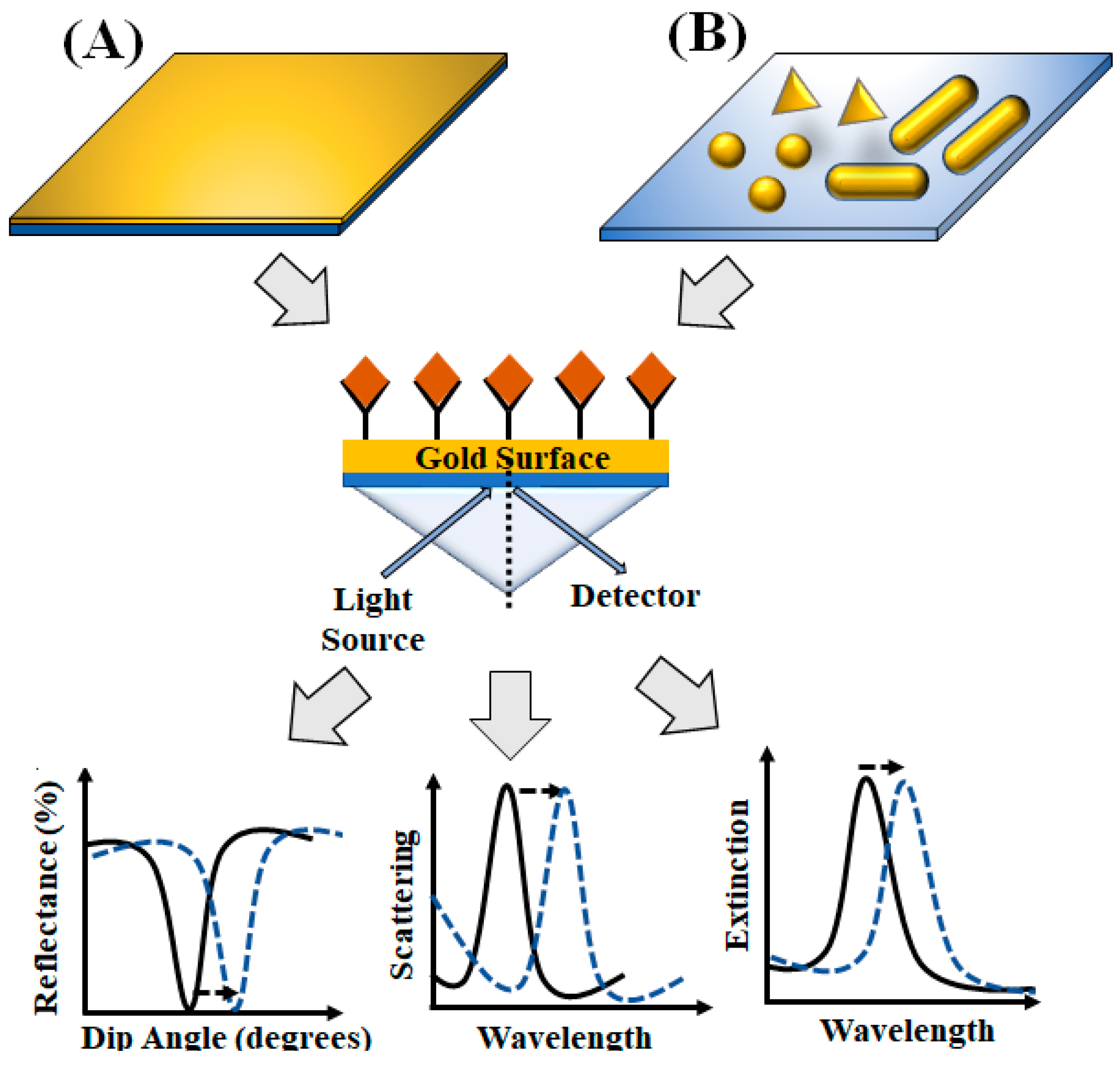 Diagnostics 10 00841 g004