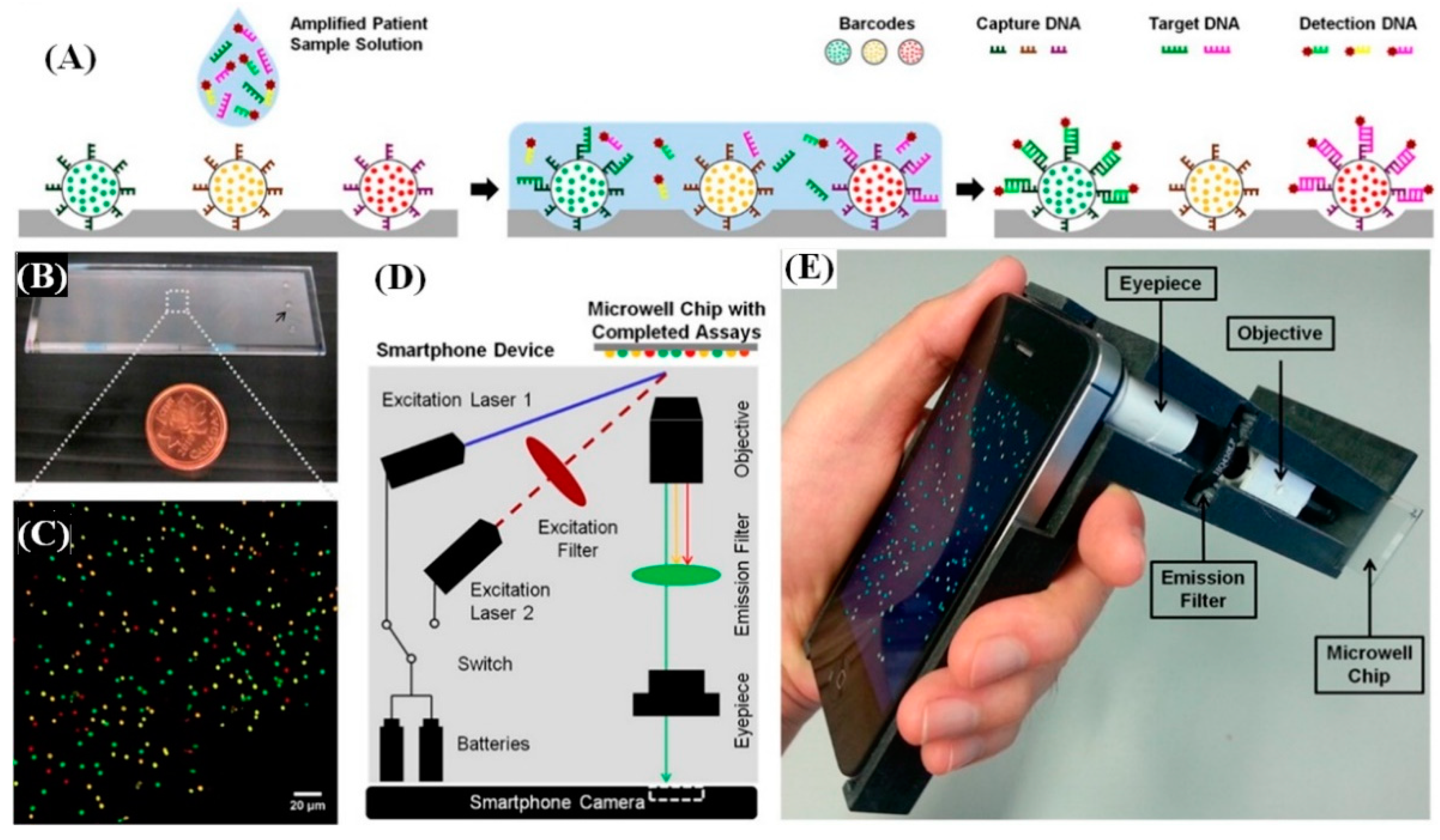 Diagnostics 10 00841 g005
