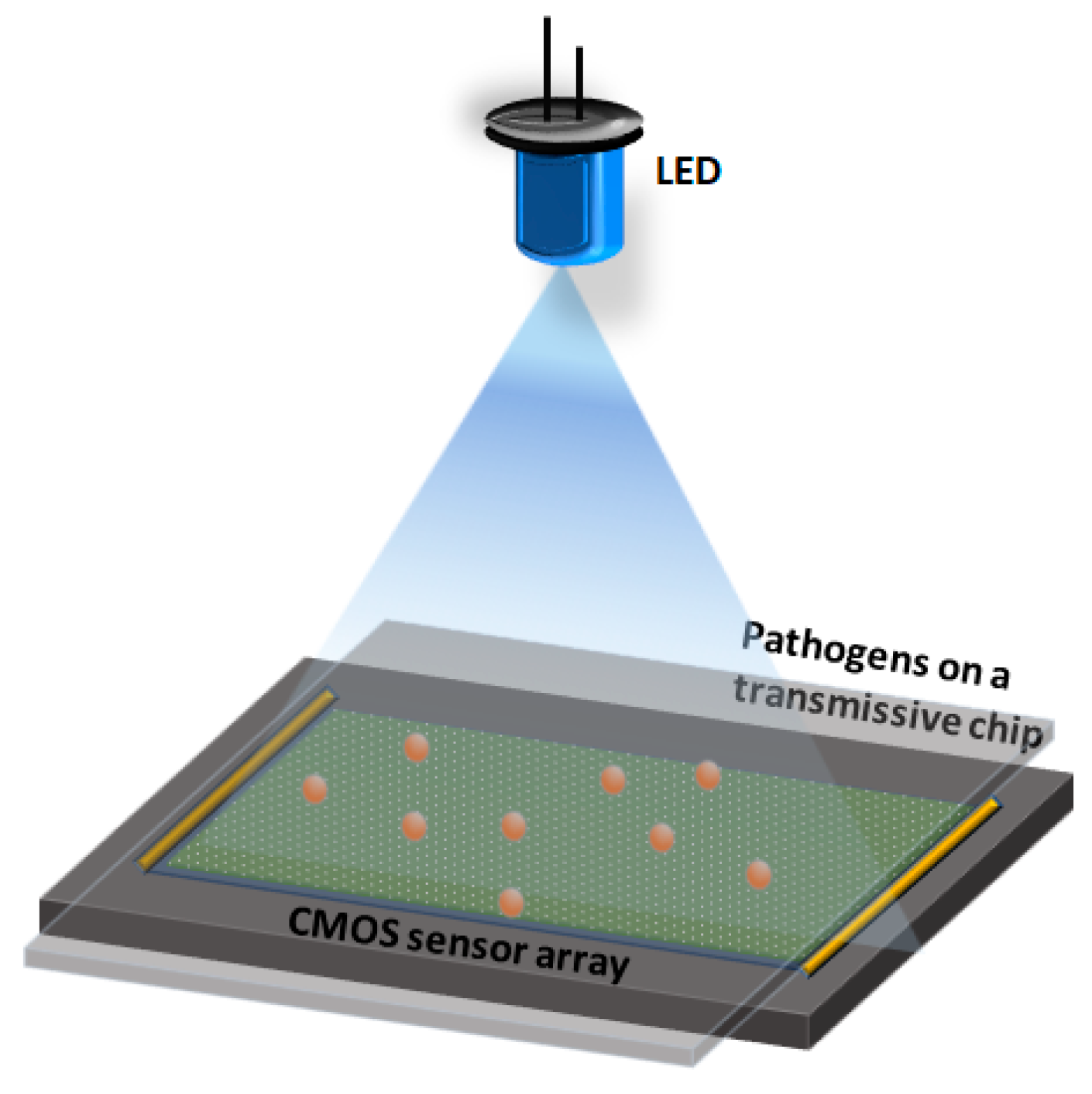 Diagnostics 10 00841 g006